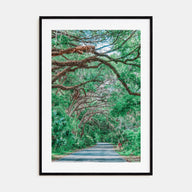 Gainesville Photo Color No 2 Poster