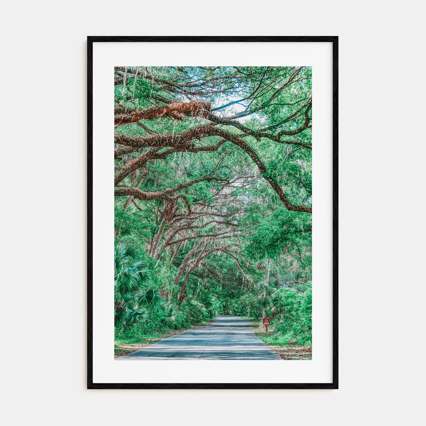 Gainesville Photo Color No 2 Poster