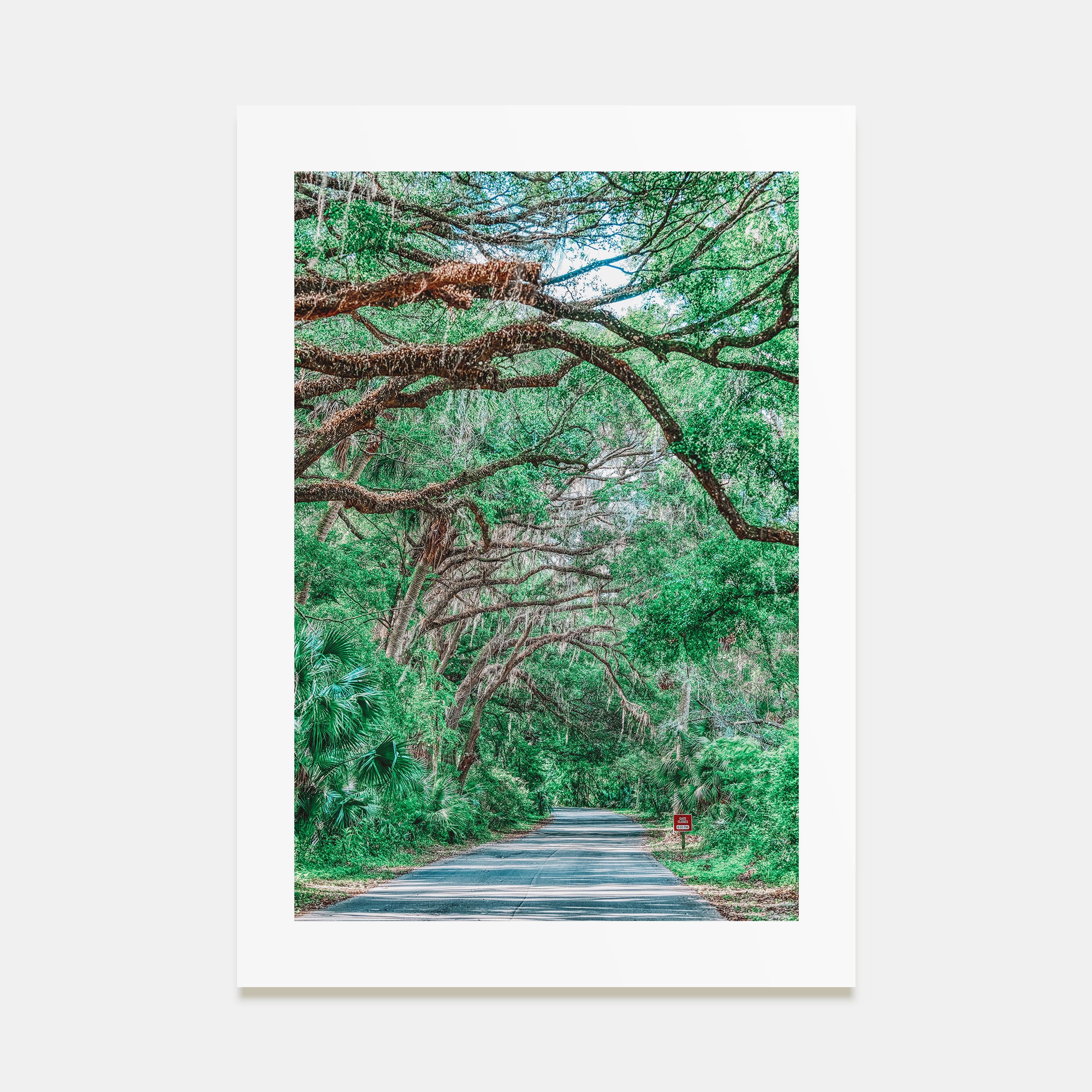 Gainesville Photo Color No 2 Poster