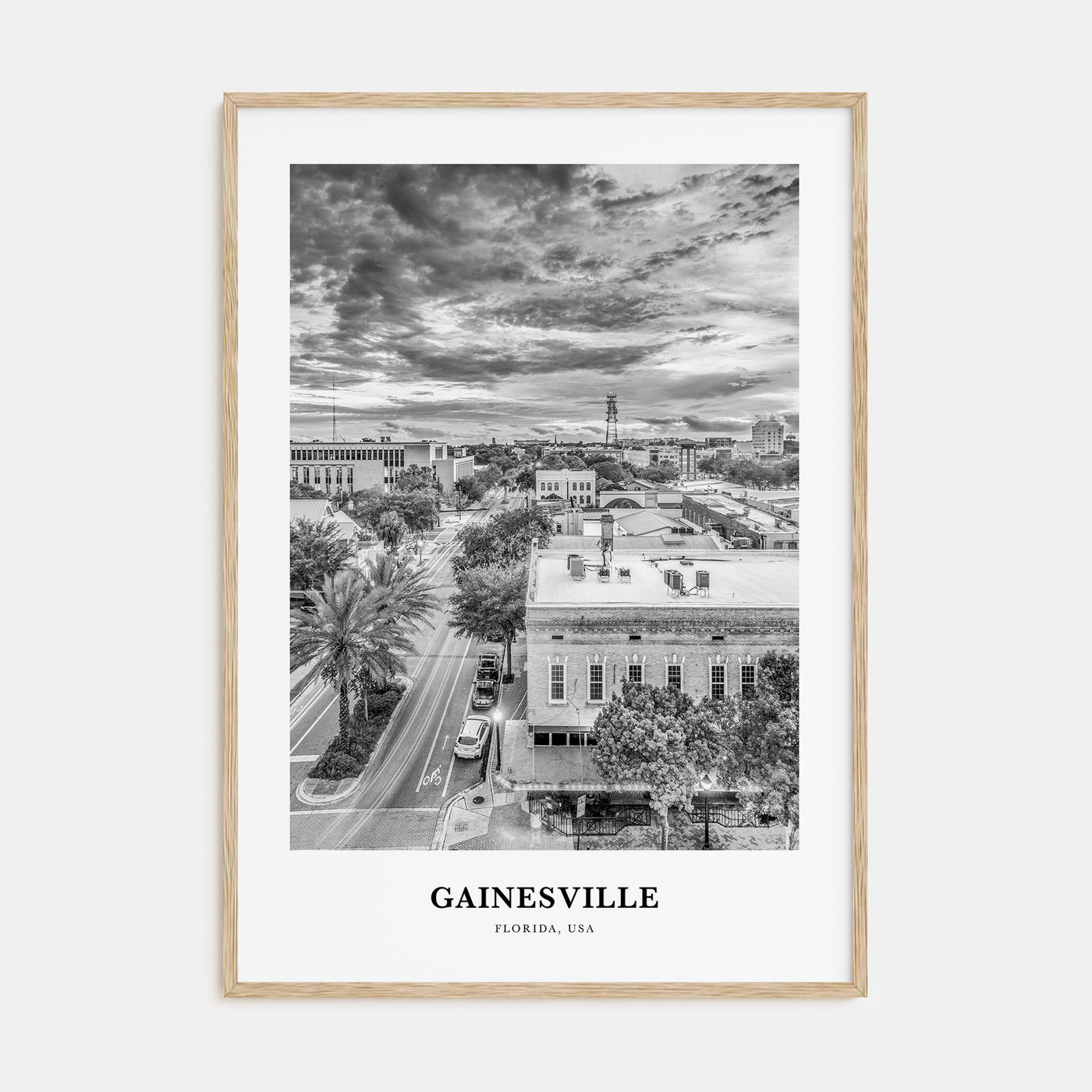 Gainesville Portrait B&W Poster