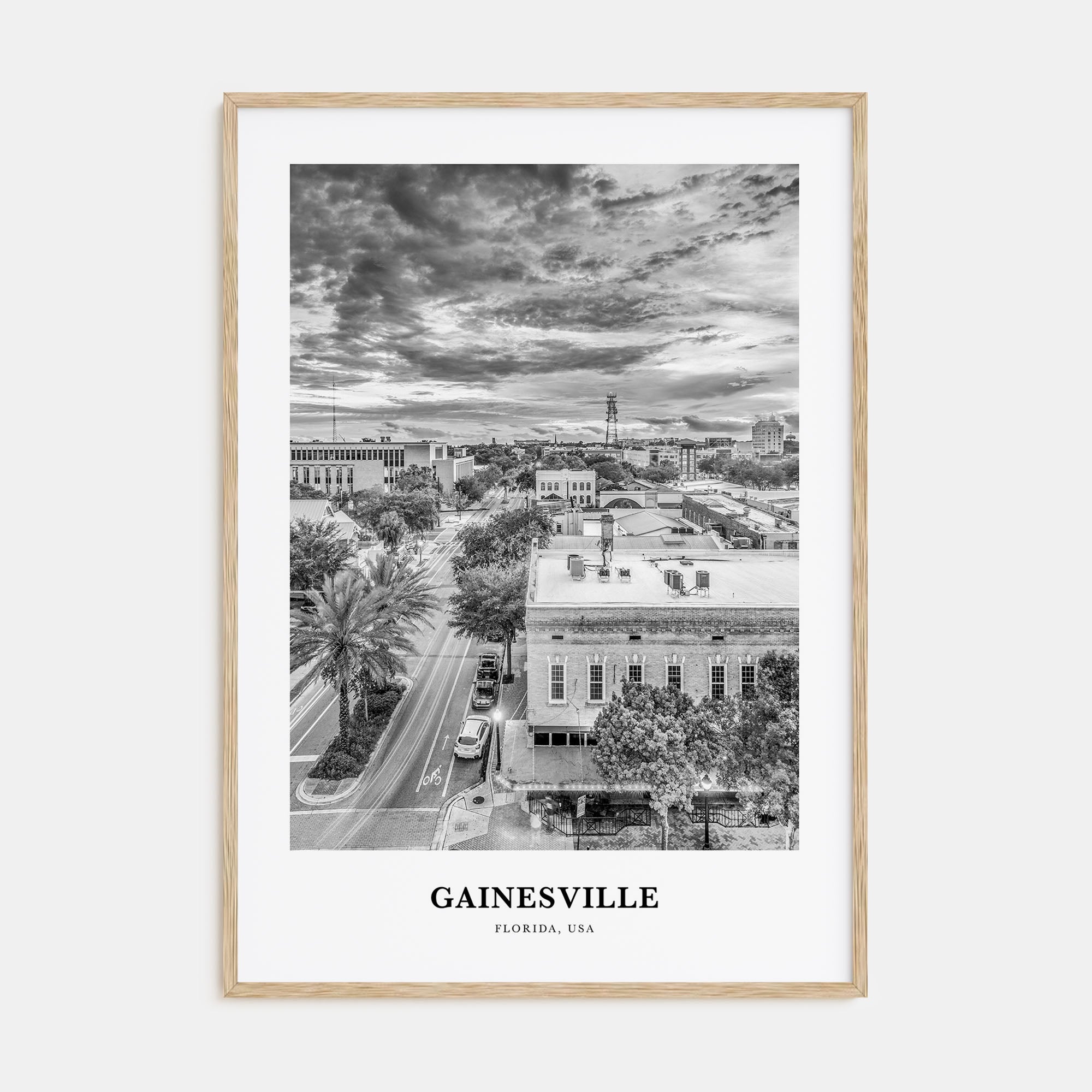 Gainesville Portrait B&W Poster