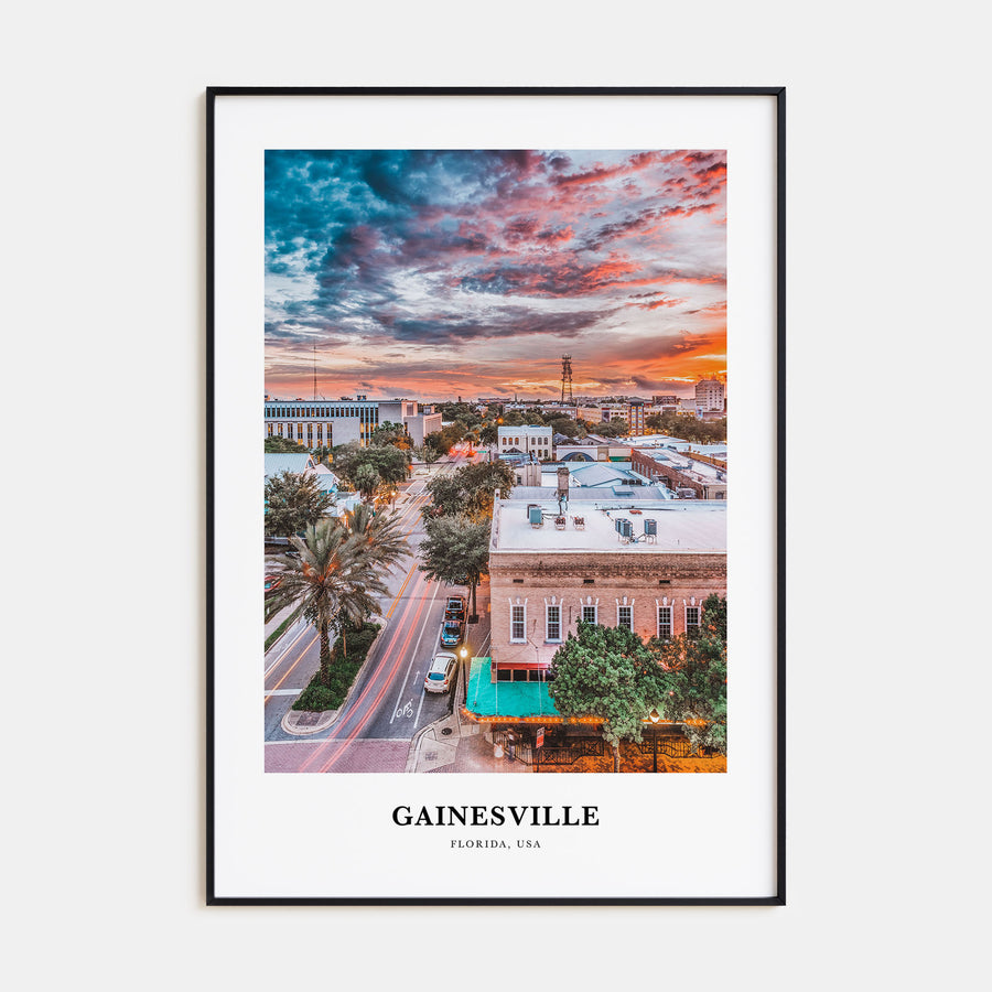 Gainesville Portrait Color Poster