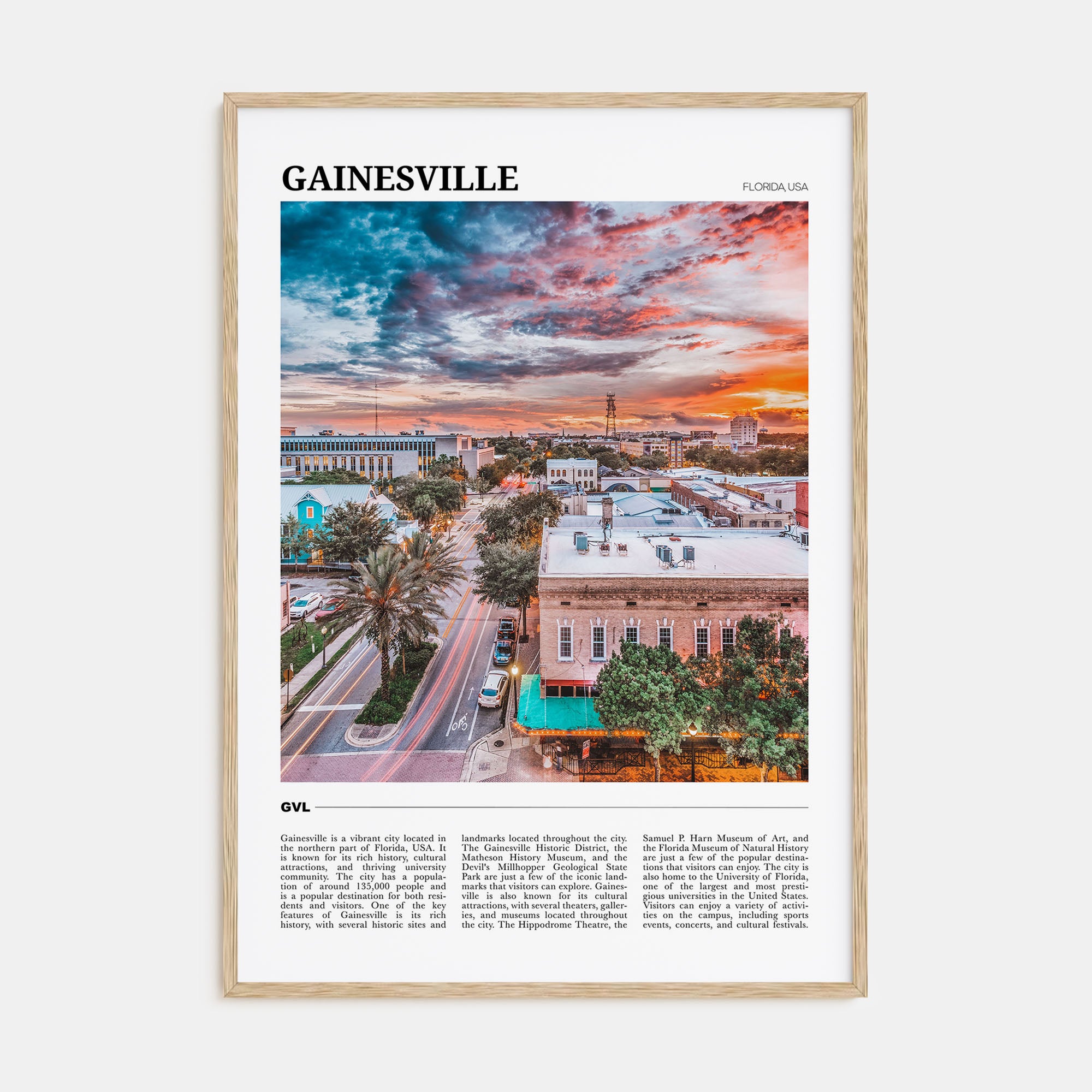 Gainesville Travel Color Poster