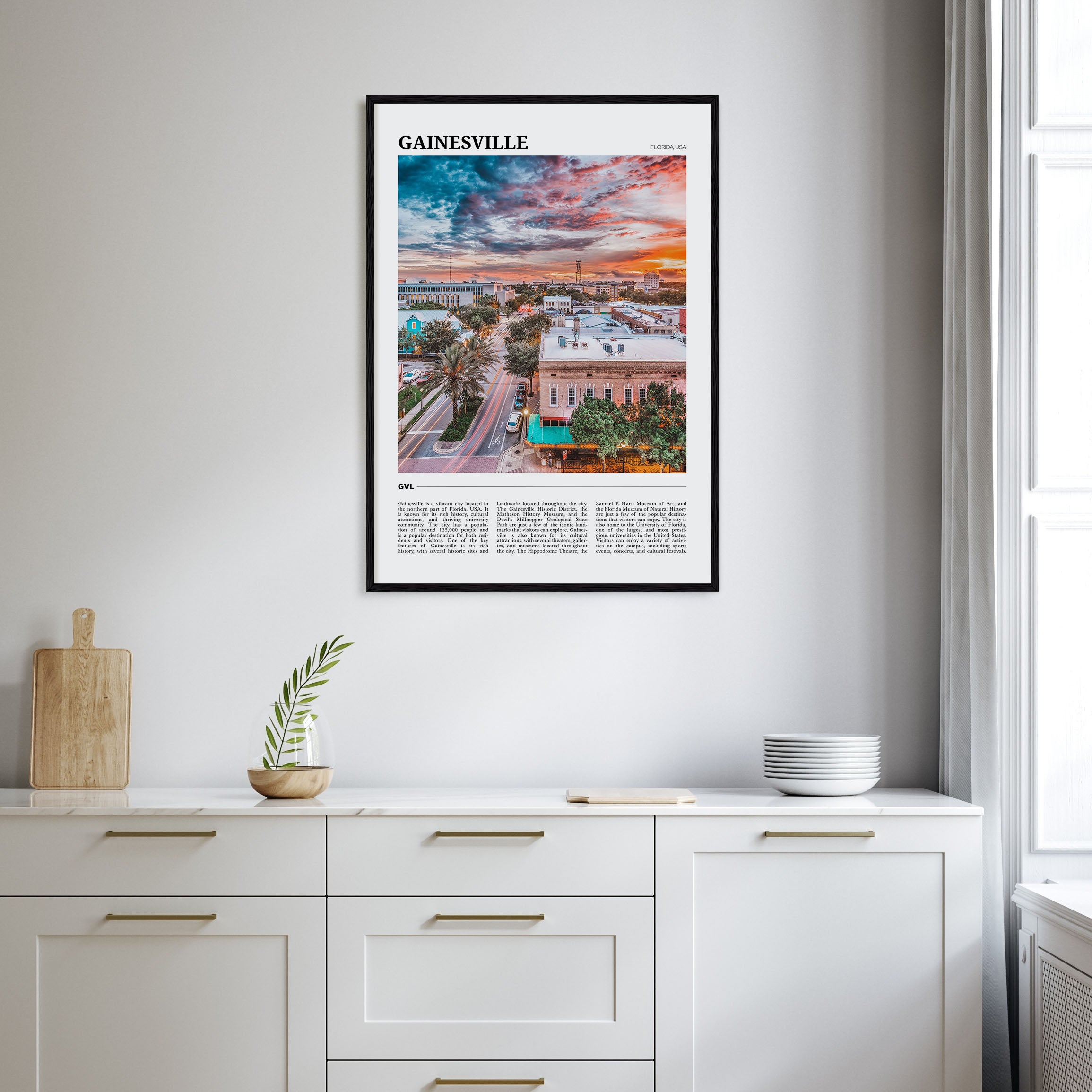 Gainesville Travel Color Poster