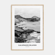 Galápagos Islands Portrait B&W Poster