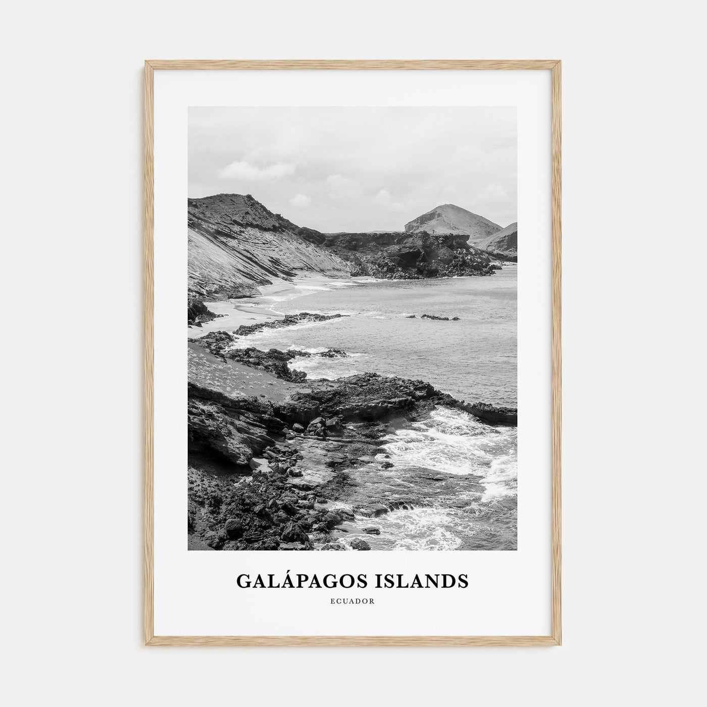 Galápagos Islands Portrait B&W Poster