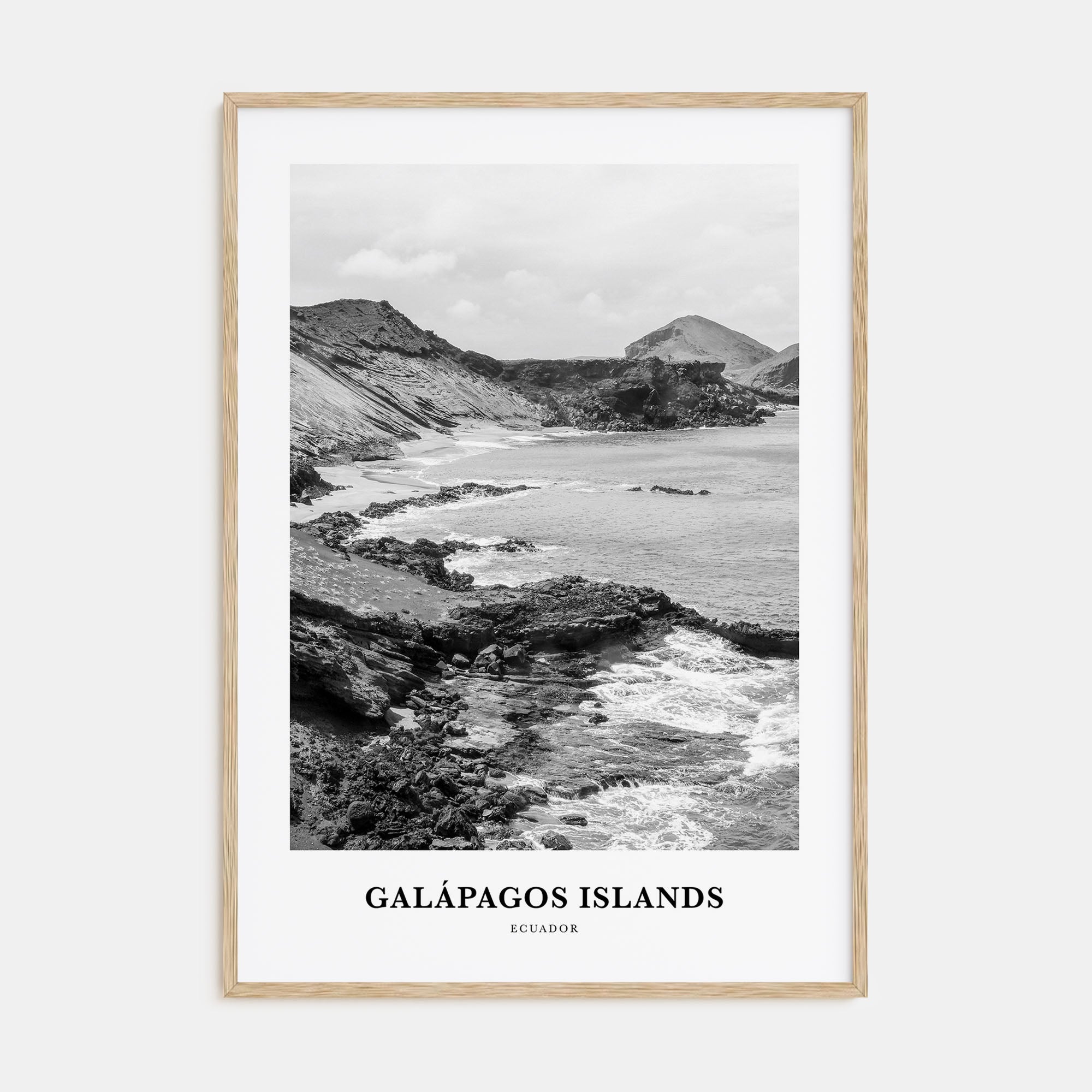 Galápagos Islands Portrait B&W Poster