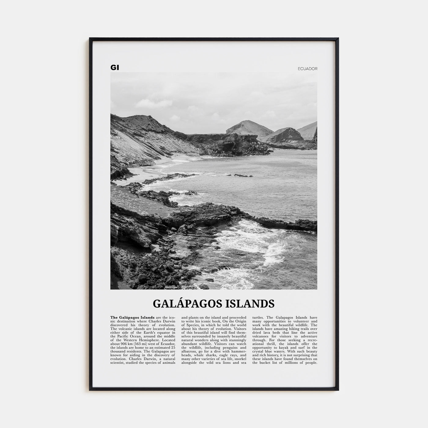Galápagos Islands Travel B&W Poster