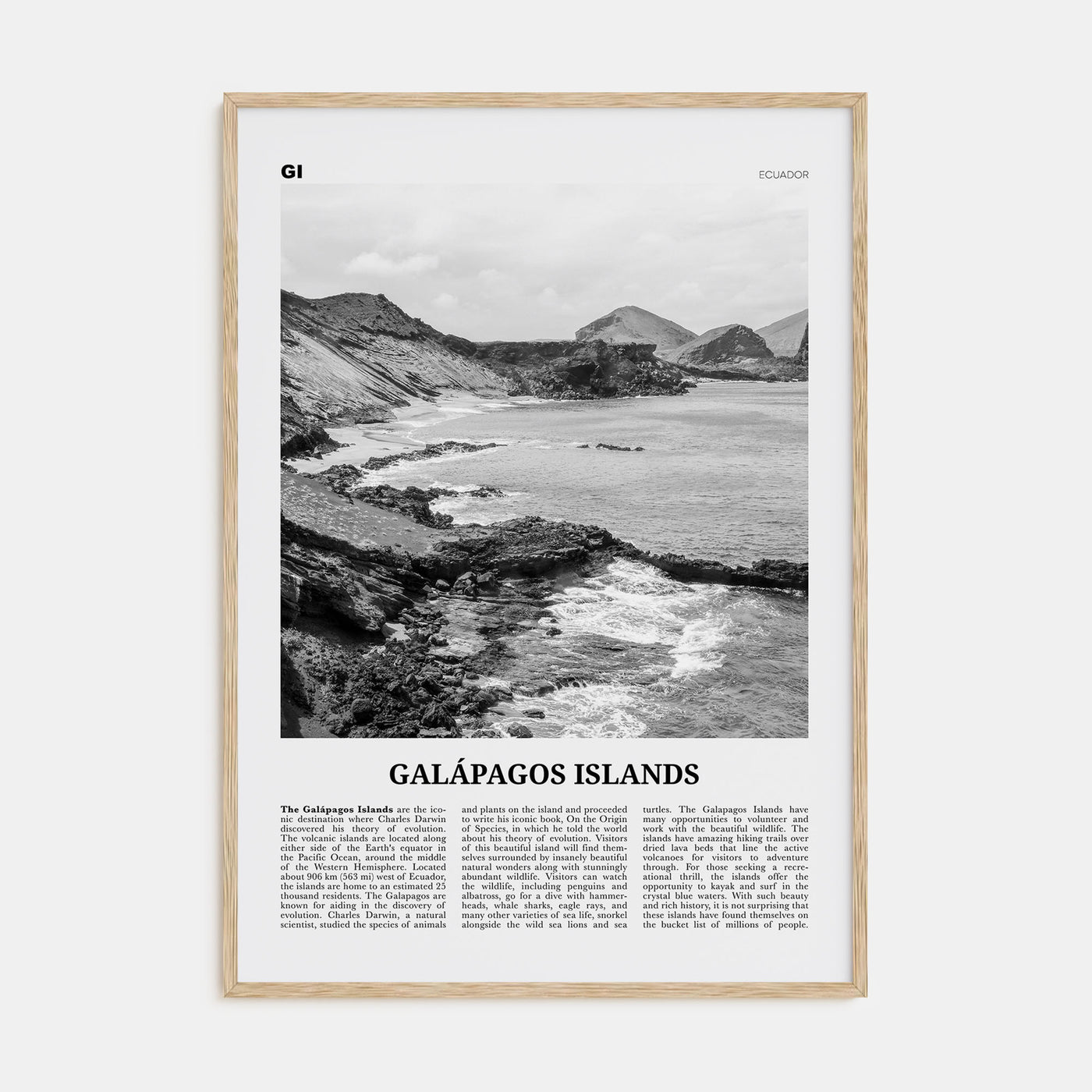 Galápagos Islands Travel B&W Poster