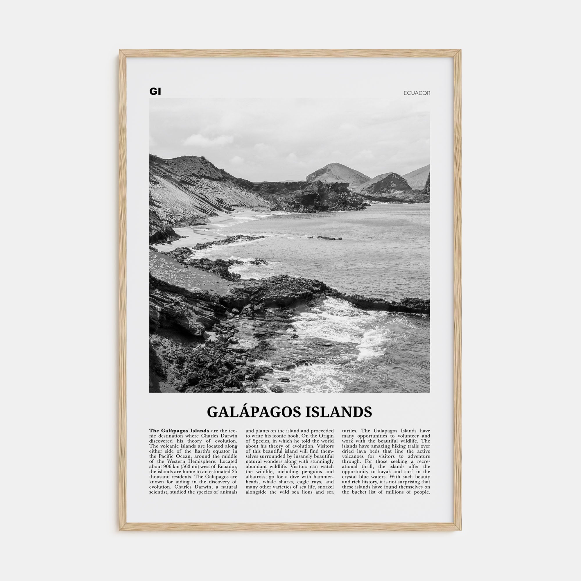 Galápagos Islands Travel B&W Poster