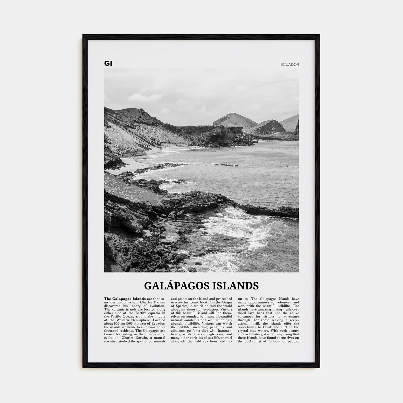 Galápagos Islands Travel B&W Poster