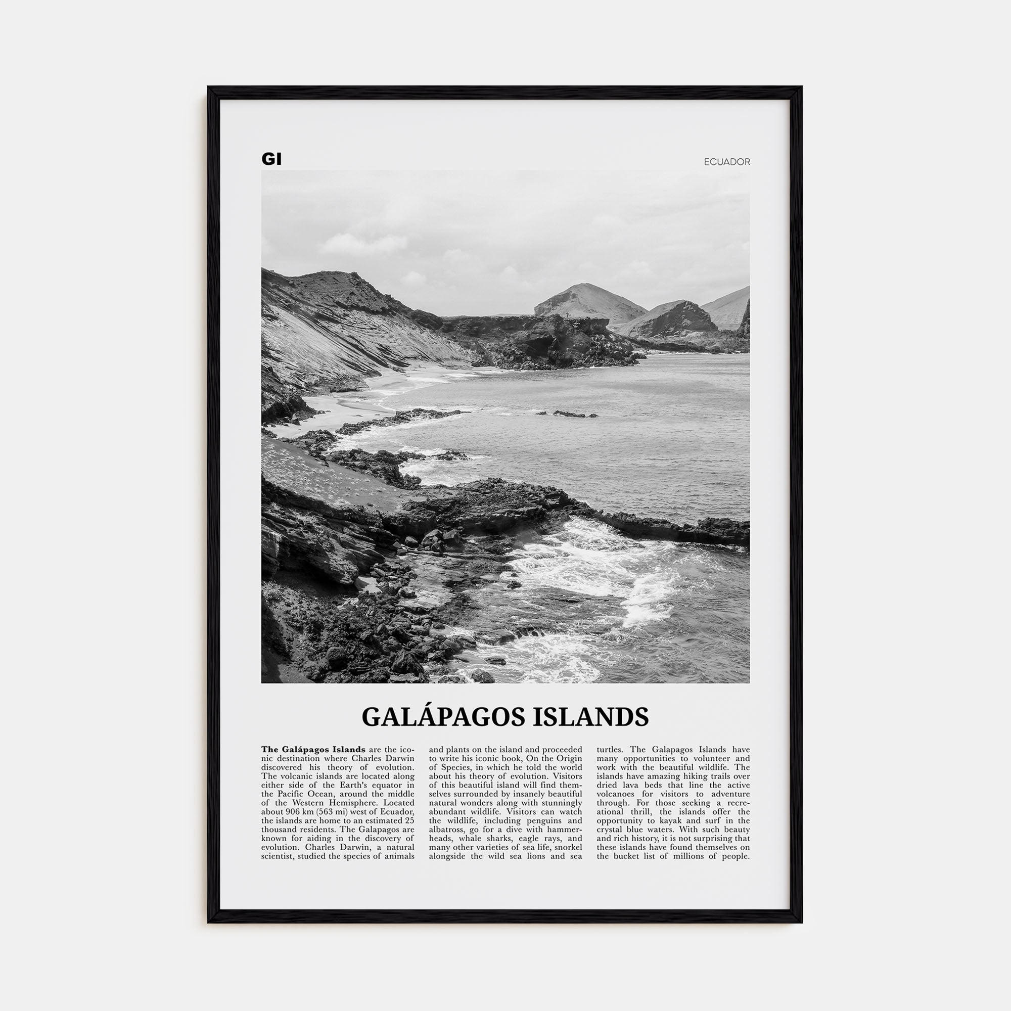 Galápagos Islands Travel B&W Poster