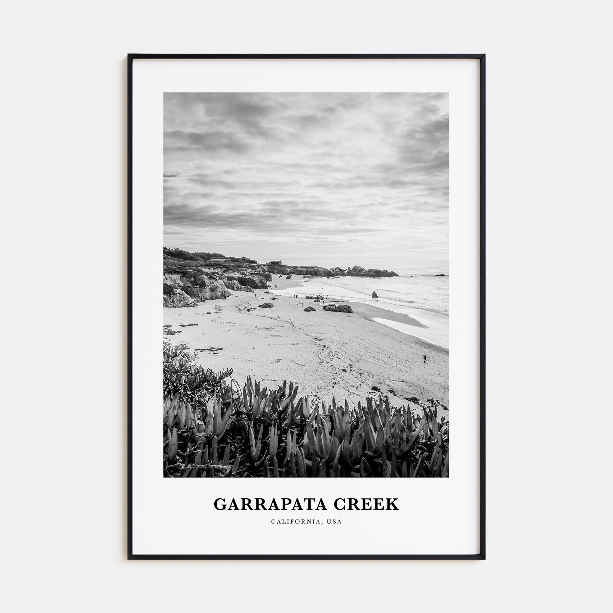 Garrapata Creek Portrait B&W Poster