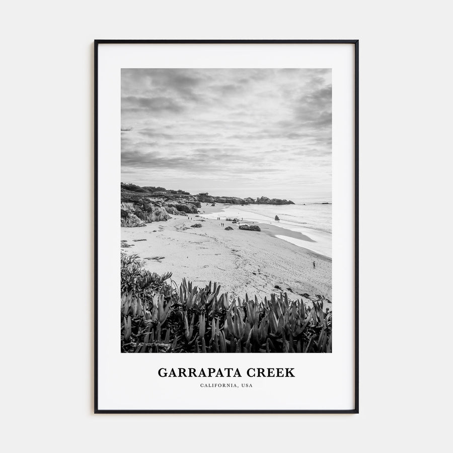 Garrapata Creek Portrait B&W Poster