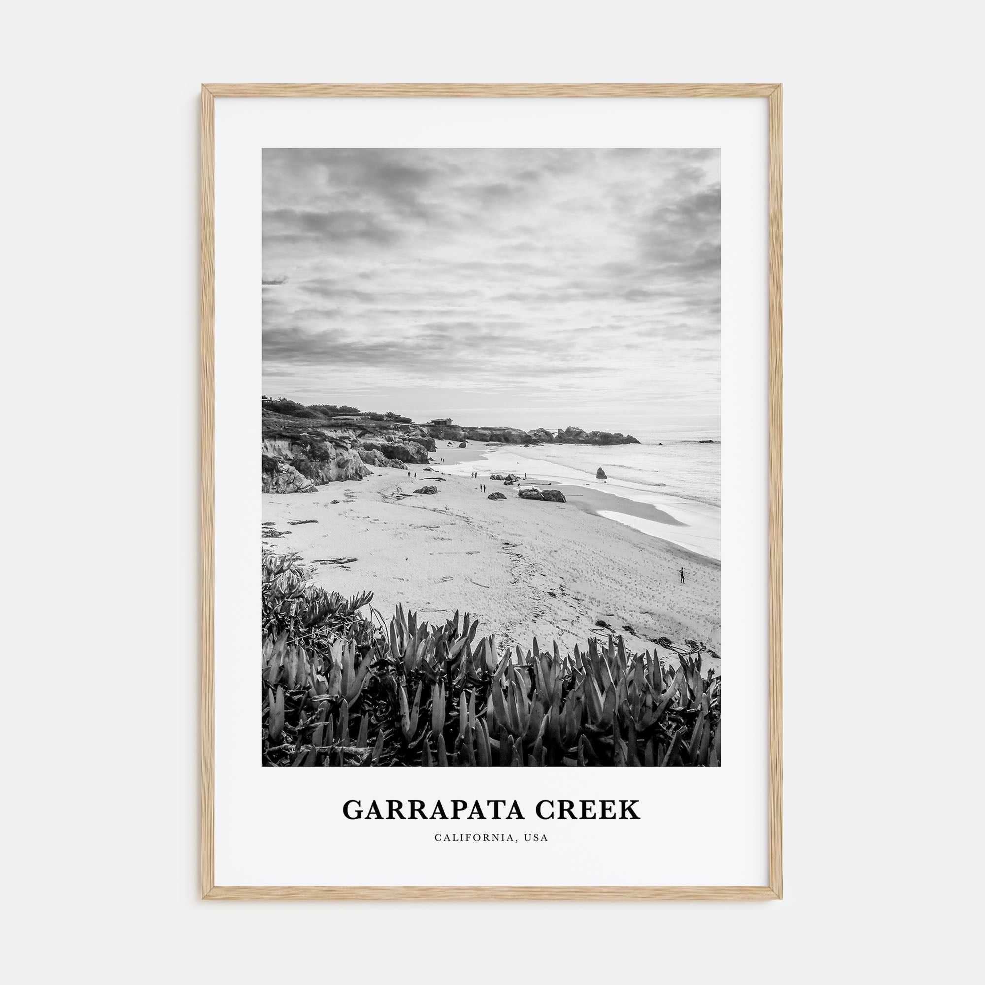 Garrapata Creek Portrait B&W Poster