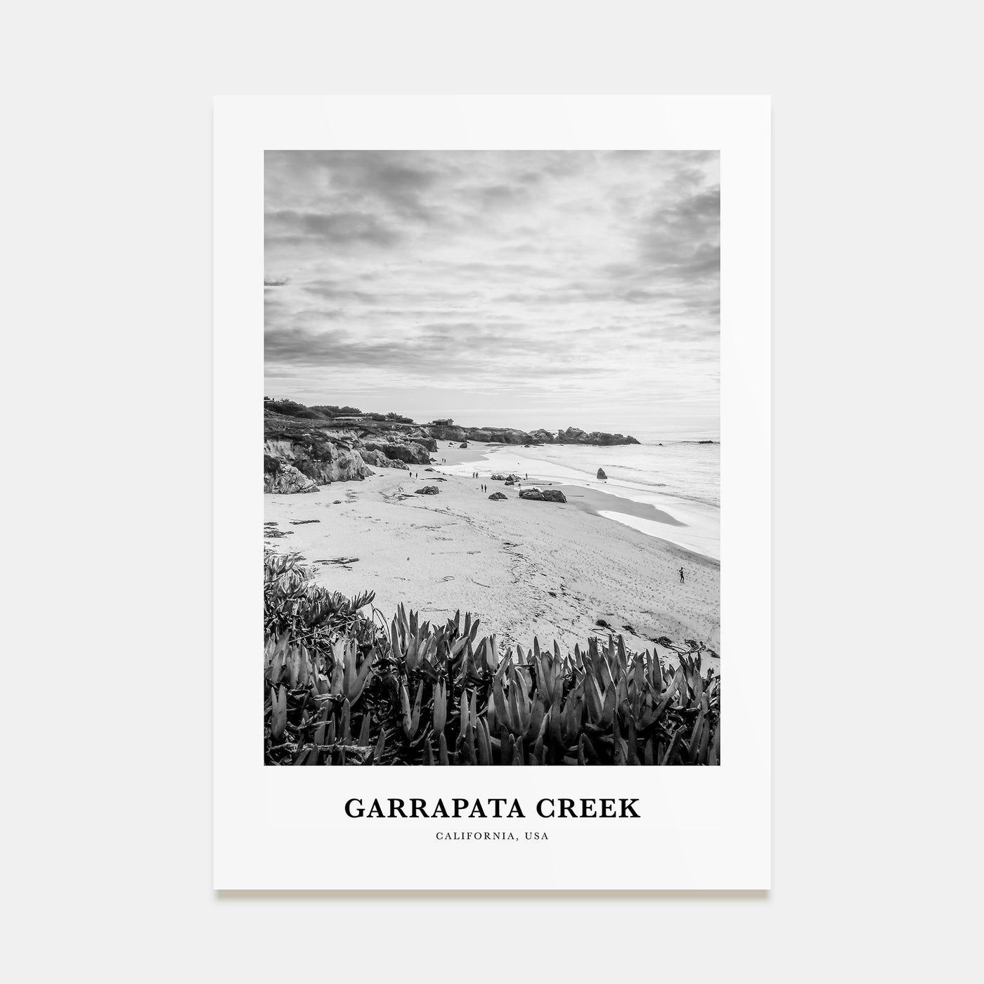 Garrapata Creek Portrait B&W Poster