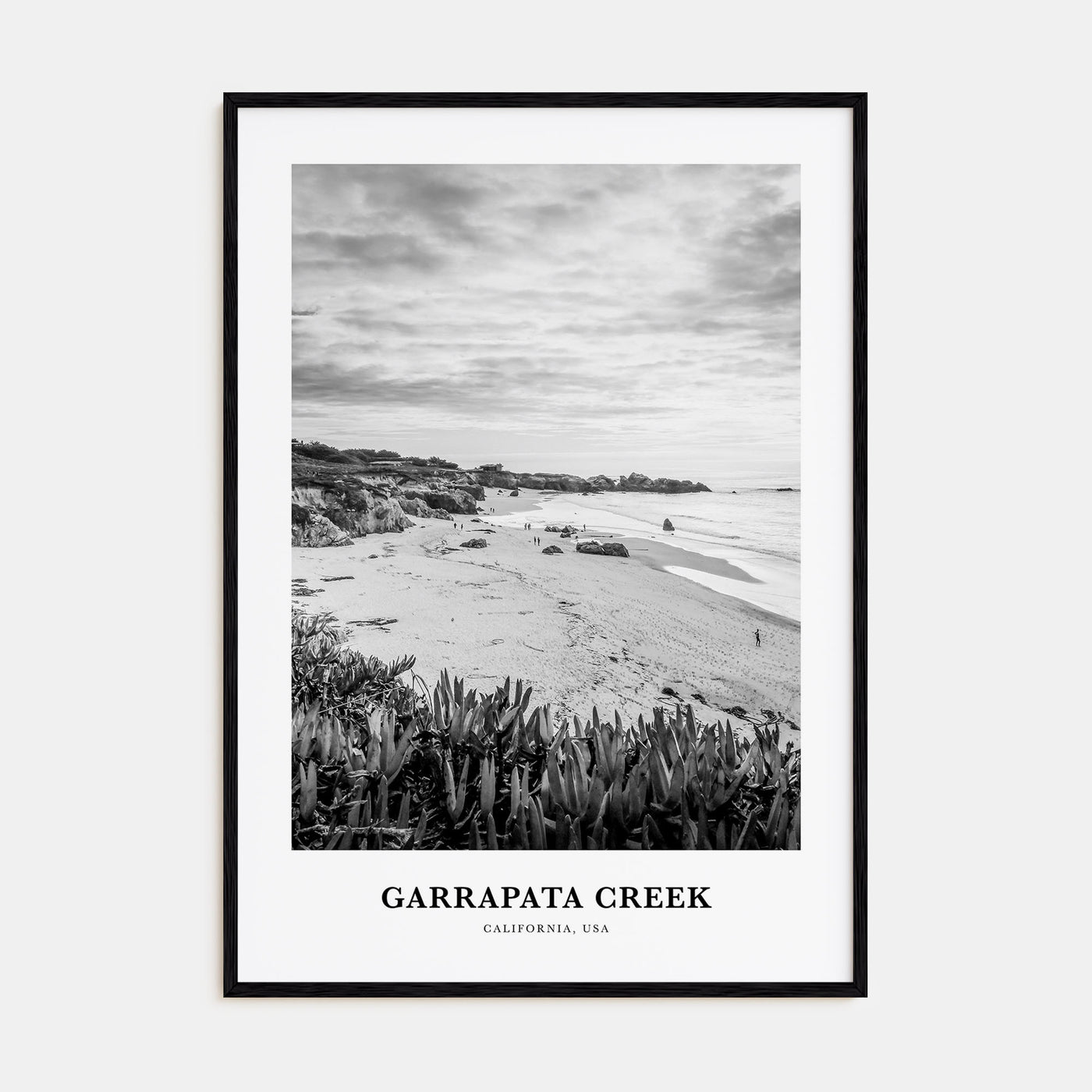 Garrapata Creek Portrait B&W Poster