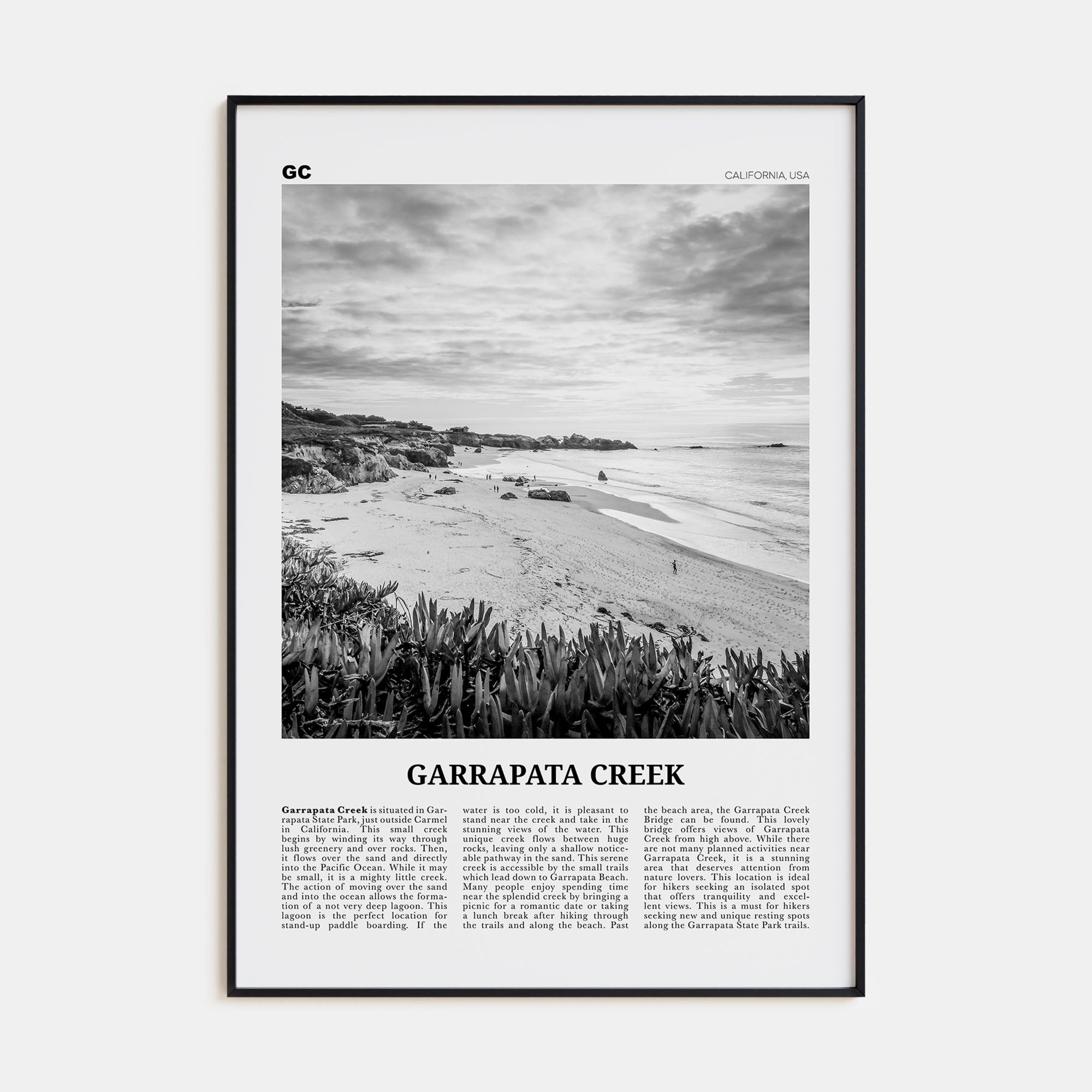 Garrapata Creek Travel B&W Poster