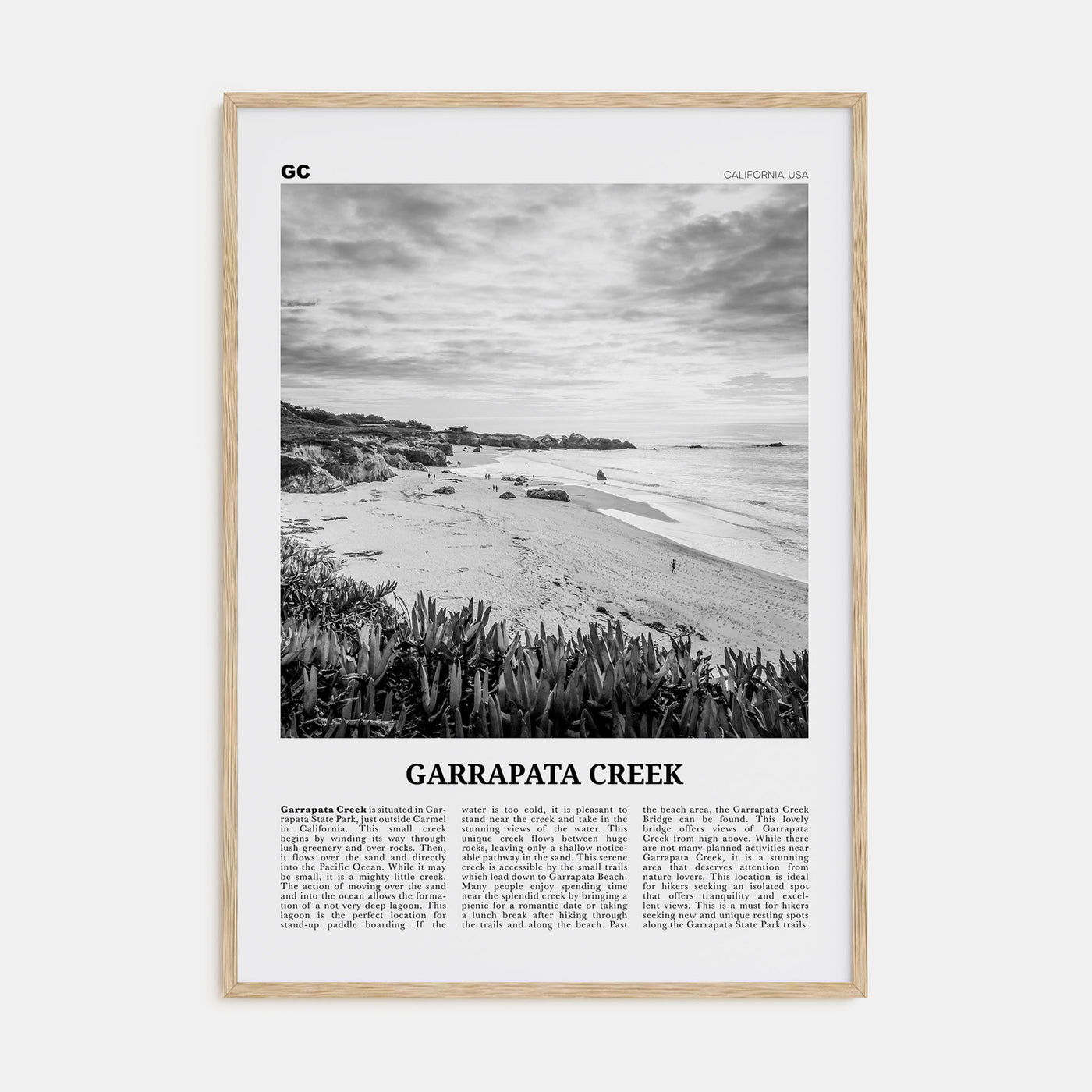 Garrapata Creek Travel B&W Poster