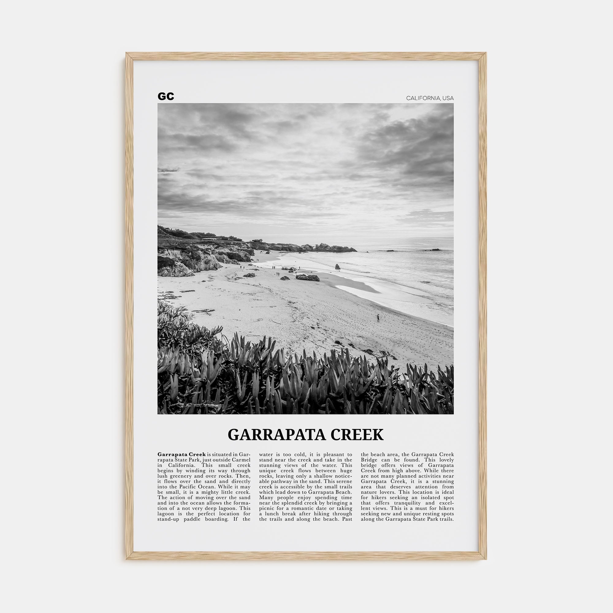 Garrapata Creek Travel B&W Poster