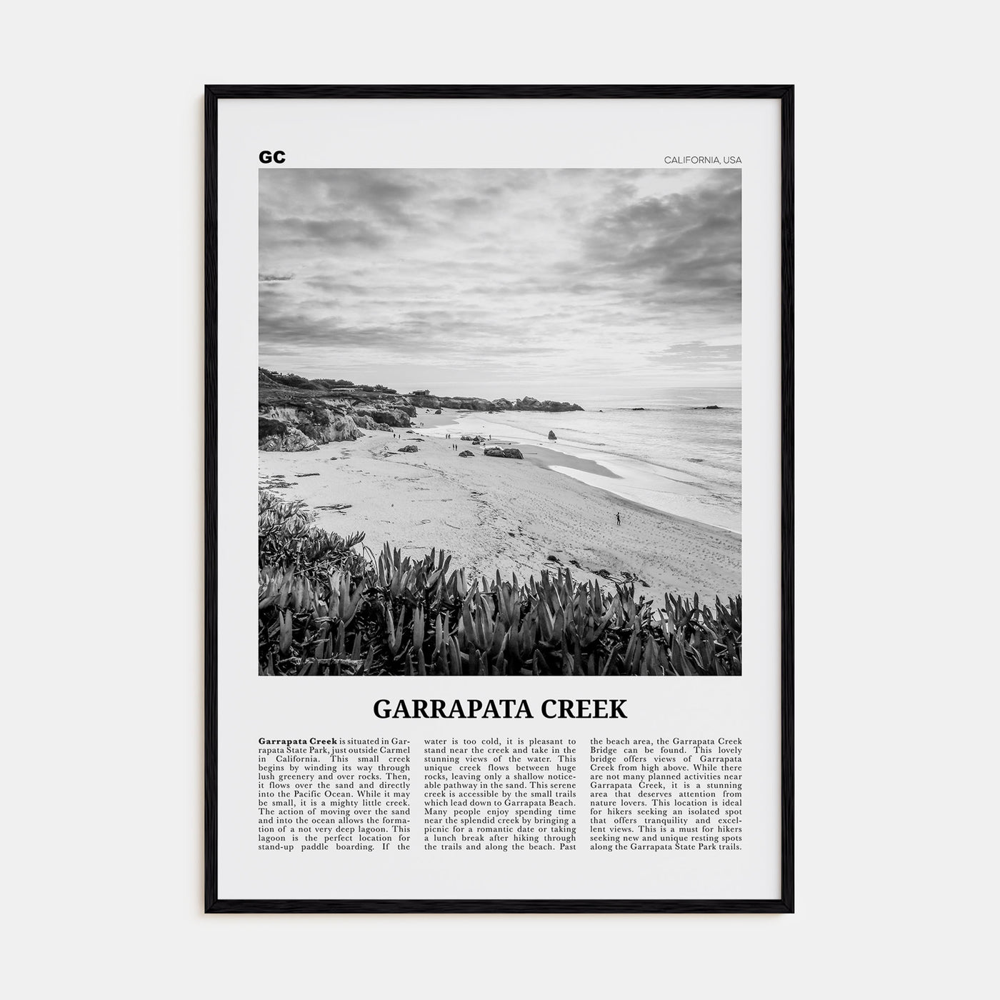 Garrapata Creek Travel B&W Poster
