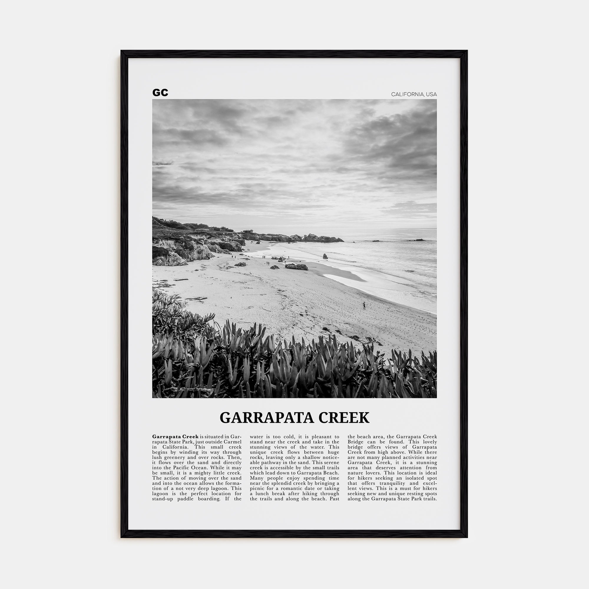 Garrapata Creek Travel B&W Poster