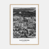 Gatlinburg Portrait B&W Poster