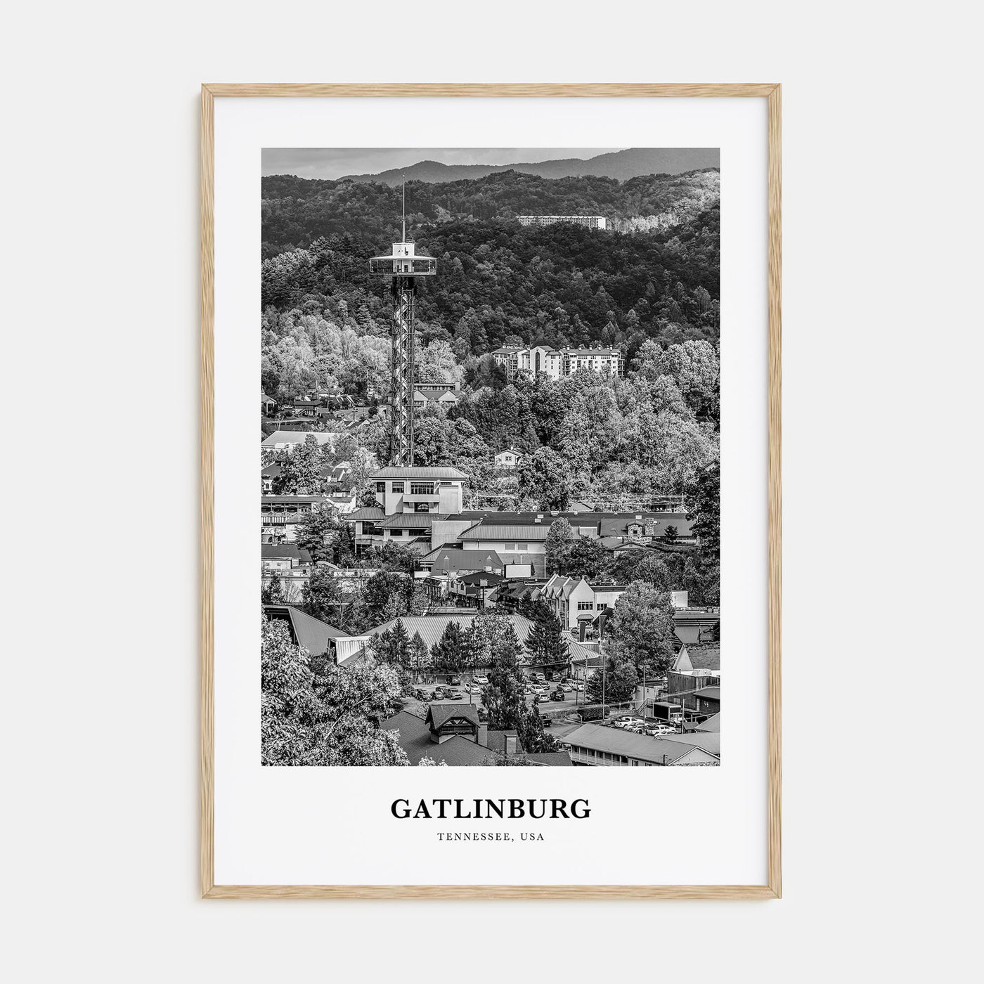 Gatlinburg Portrait B&W Poster
