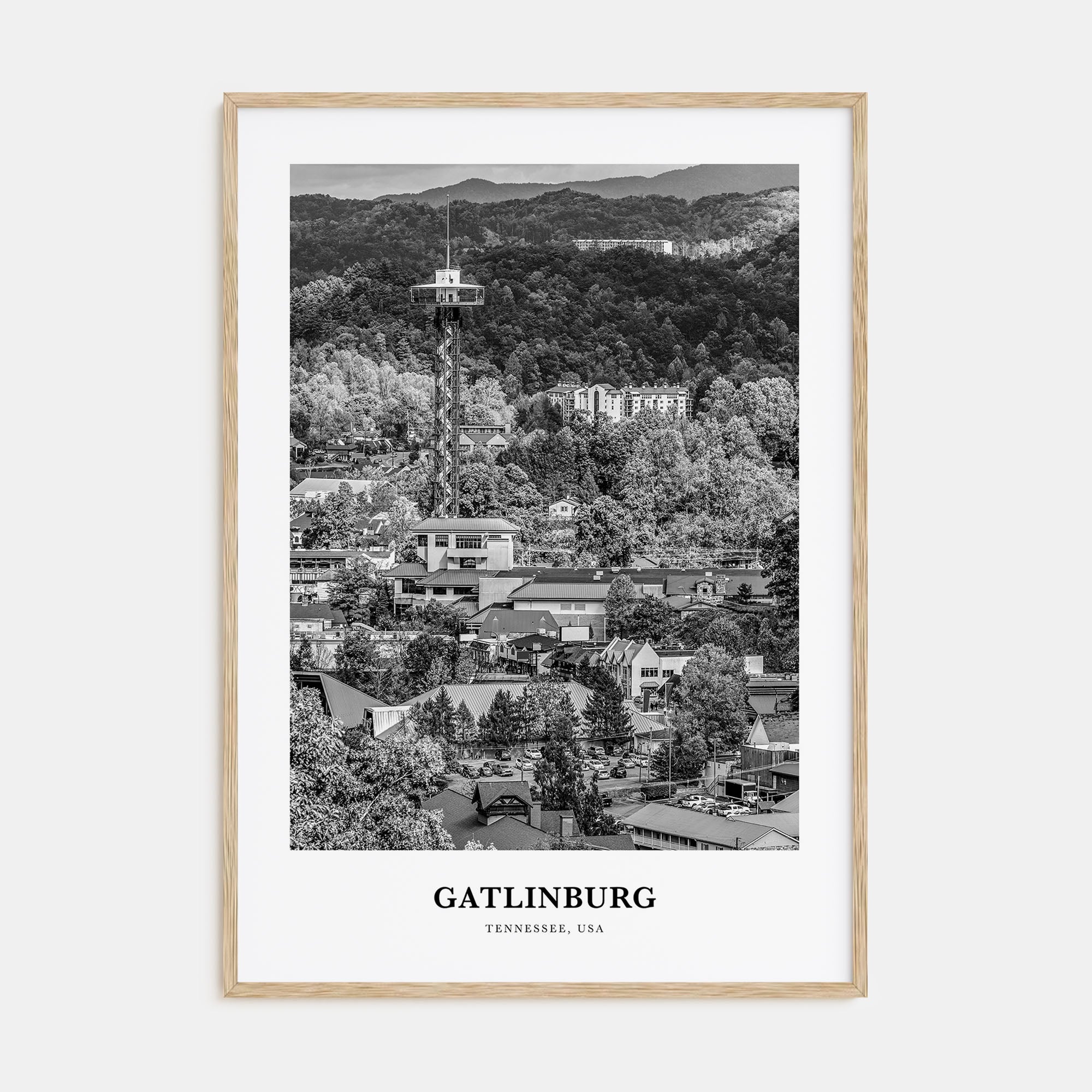 Gatlinburg Portrait B&W Poster