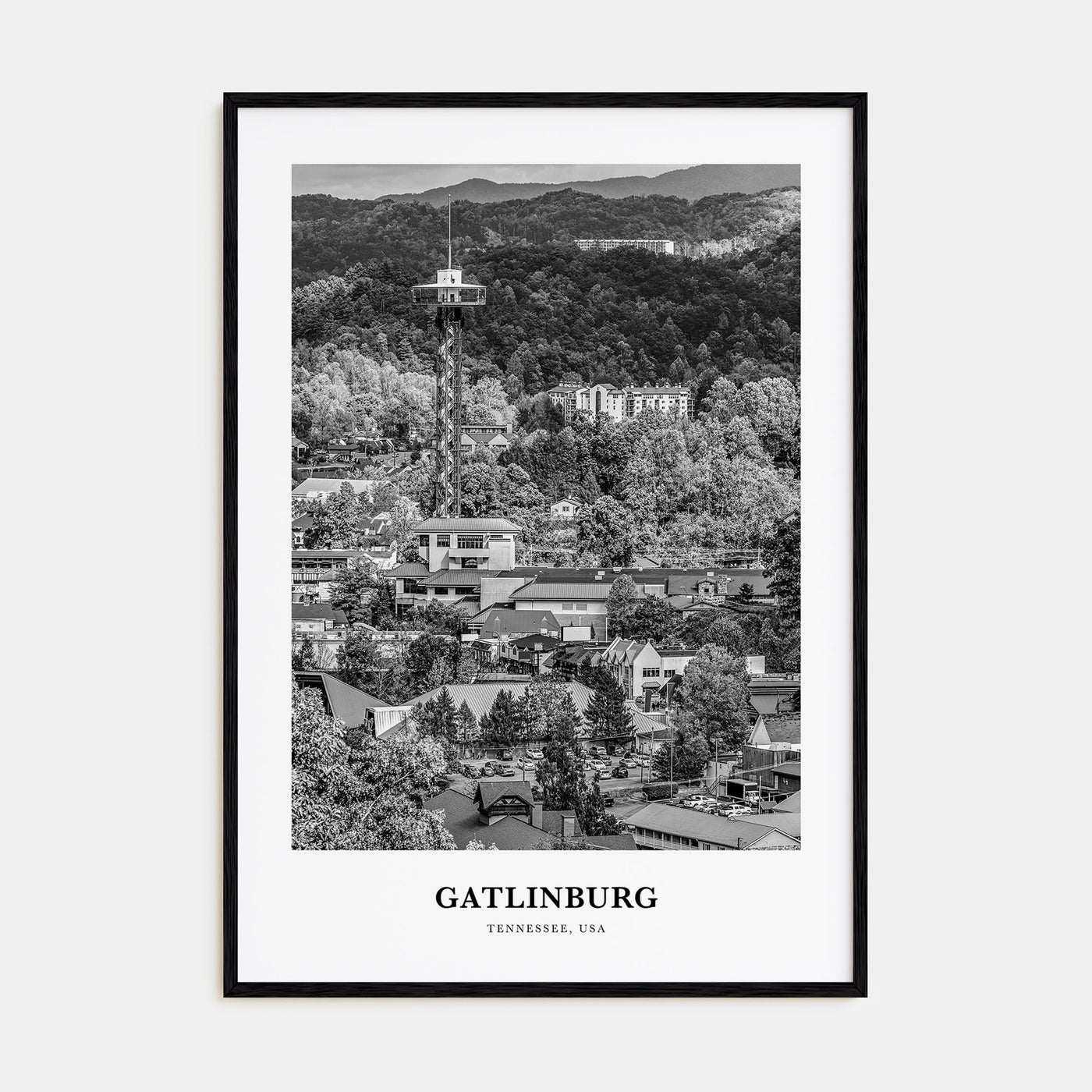 Gatlinburg Portrait B&W Poster
