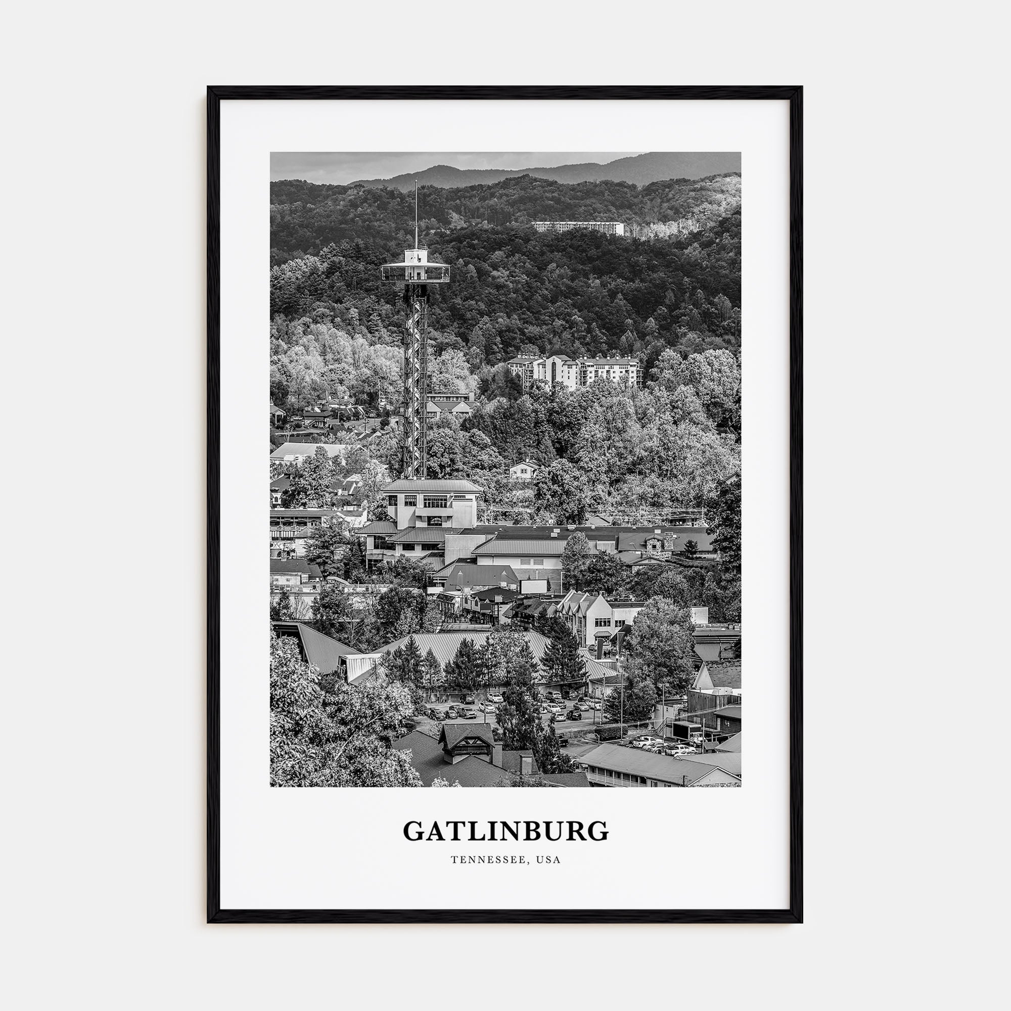 Gatlinburg Portrait B&W Poster