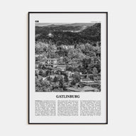 Gatlinburg Travel B&W Poster