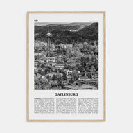 Gatlinburg Travel B&W Poster