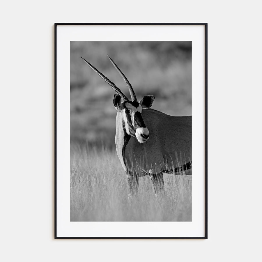 Gazella Photo B&W Poster