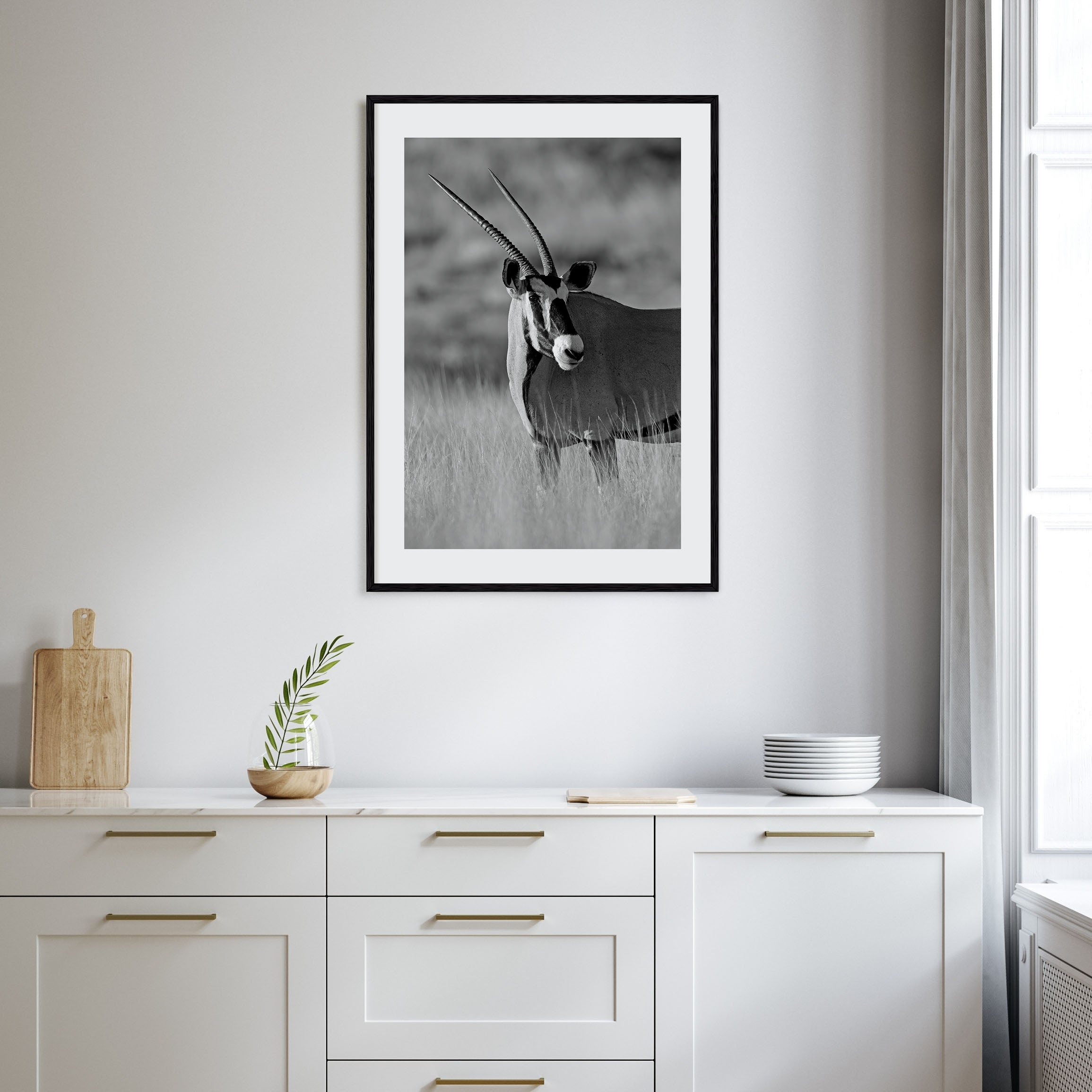 Gazella Photo B&W Poster