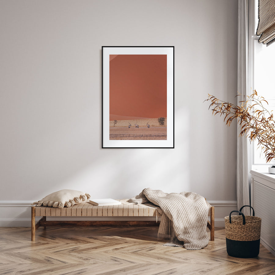 Gazella Photo Color Poster
