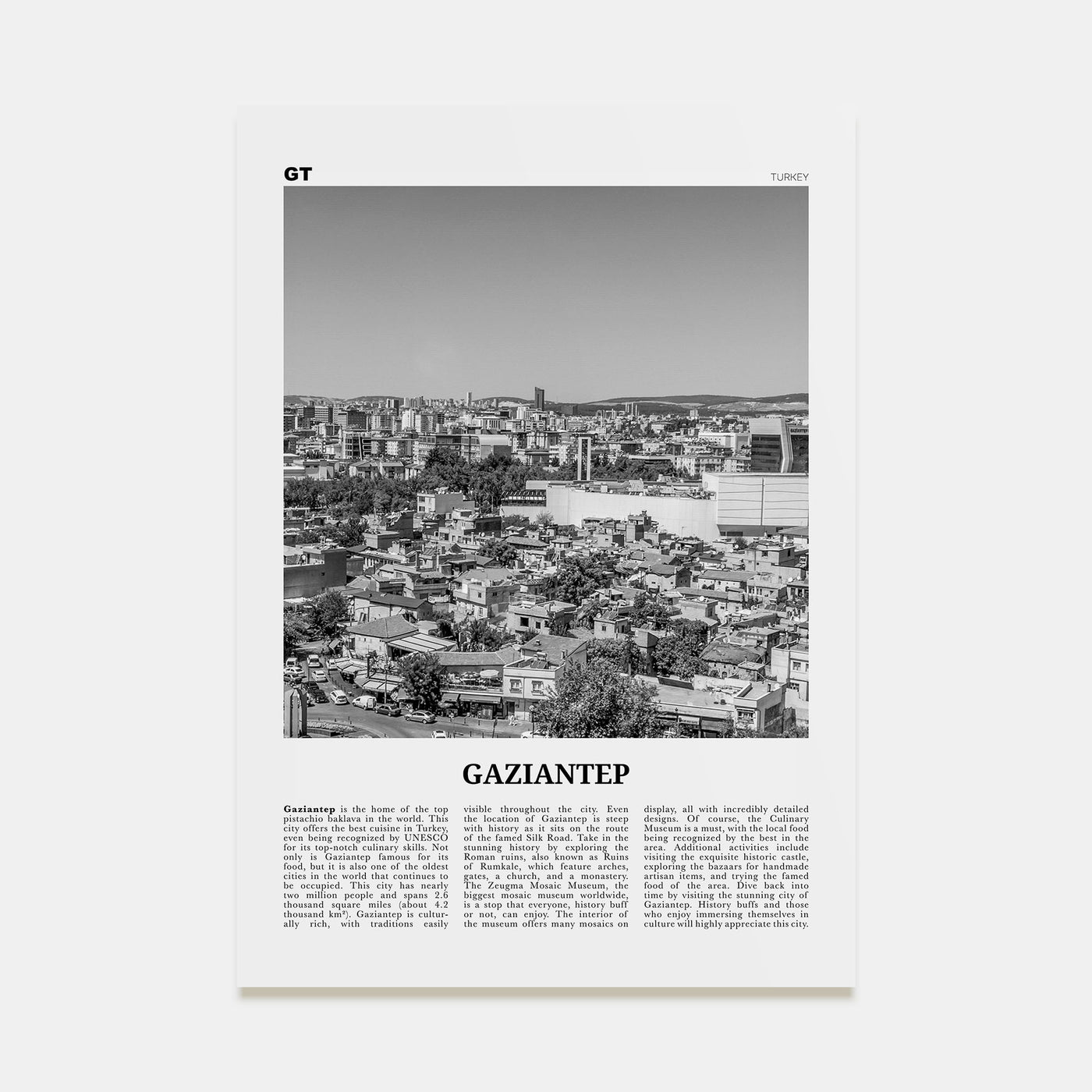 Gaziantep Travel B&W Poster