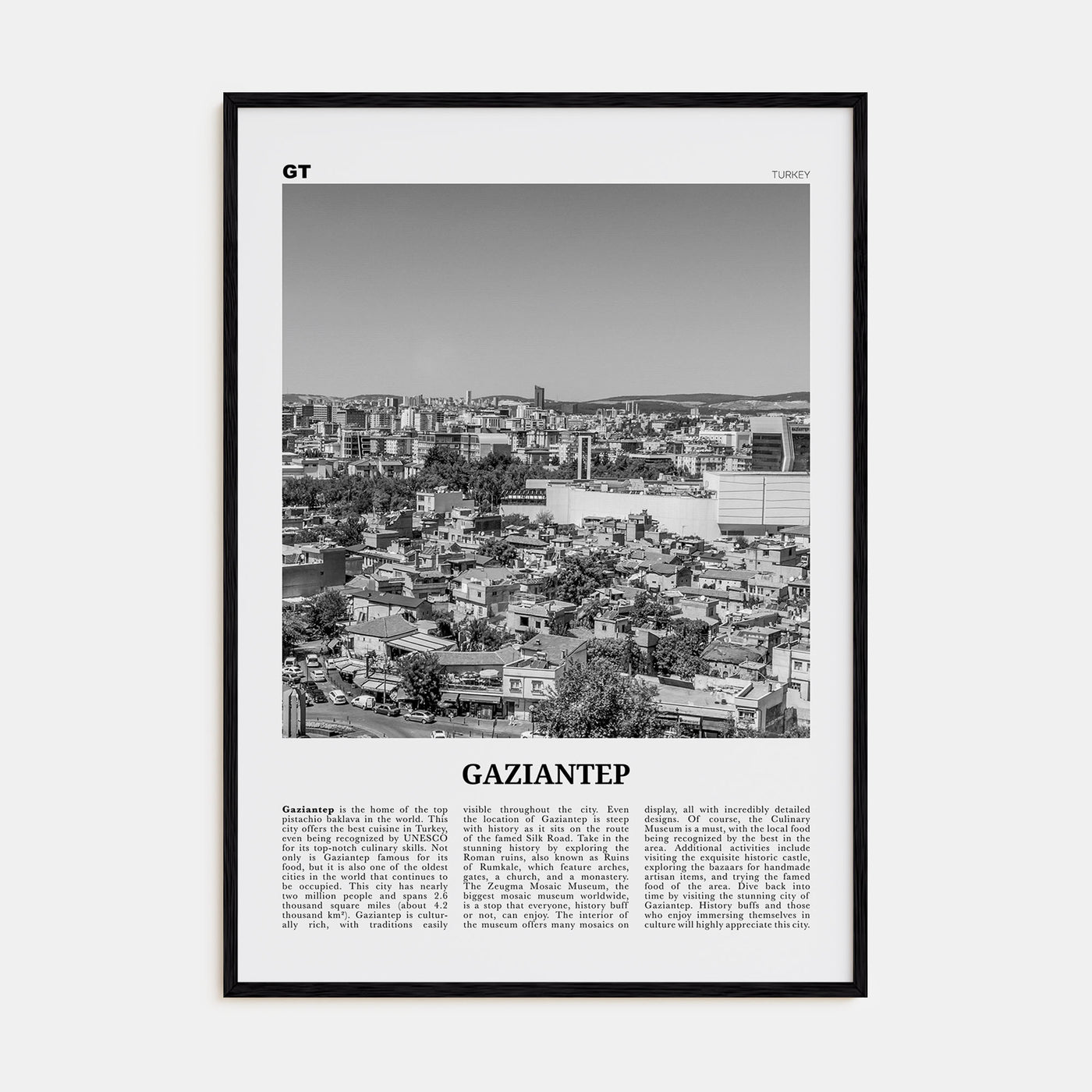 Gaziantep Travel B&W Poster