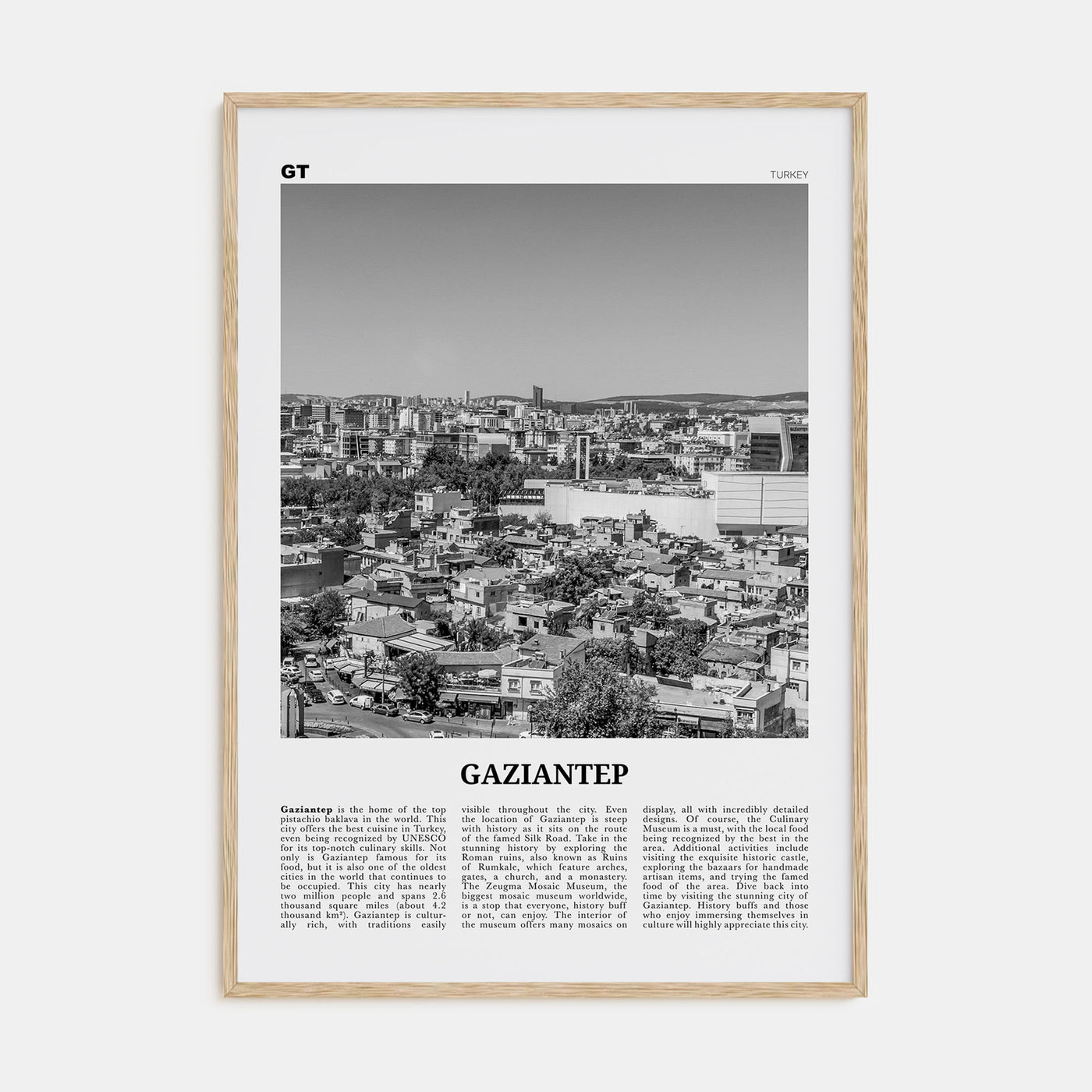 Gaziantep Travel B&W Poster