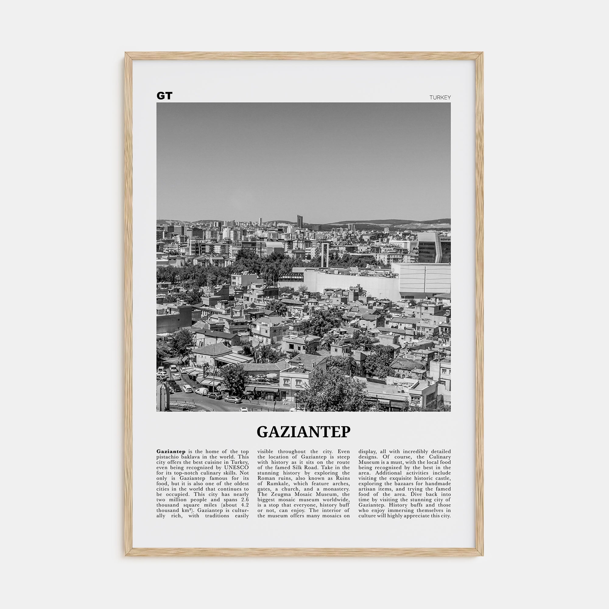 Gaziantep Travel B&W Poster