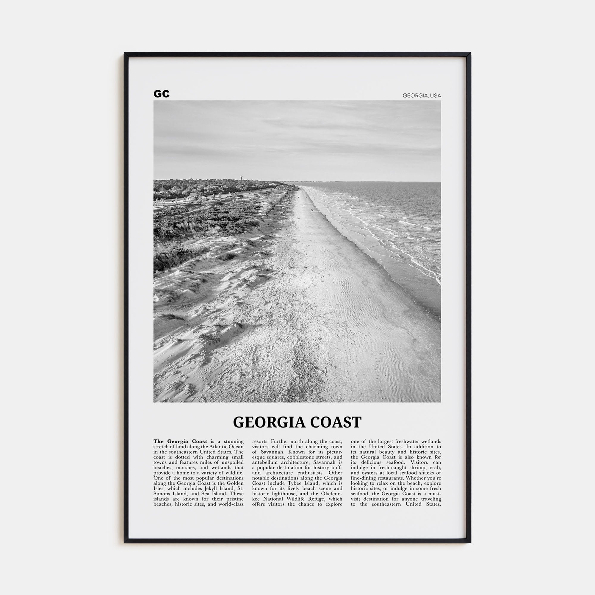 Georgia Coast Travel B&W Poster