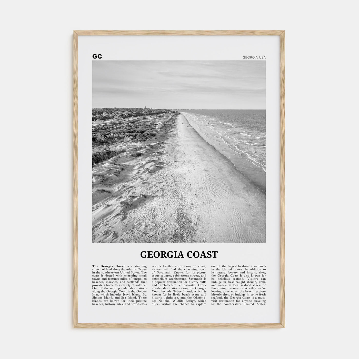 Georgia Coast Travel B&W Poster