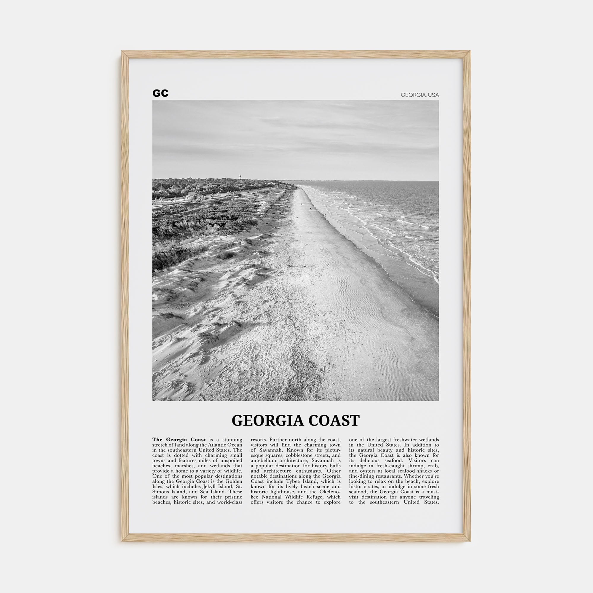 Georgia Coast Travel B&W Poster