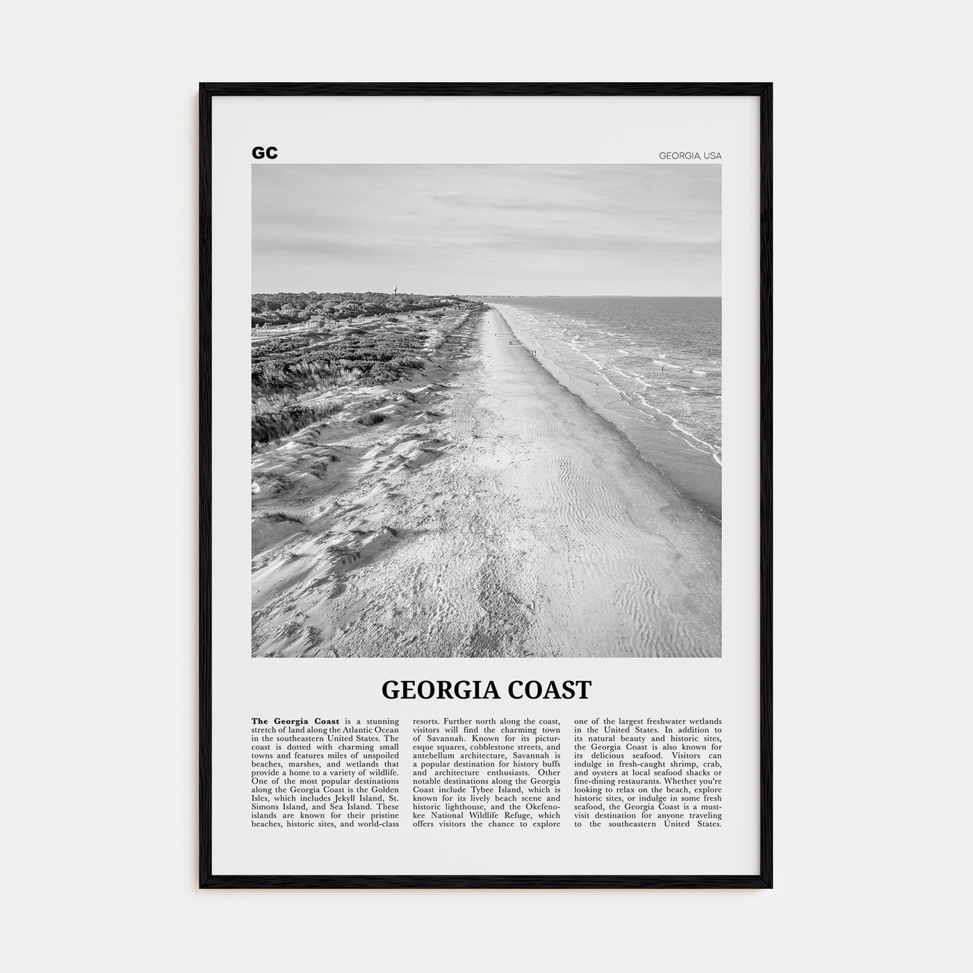 Georgia Coast Travel B&W Poster