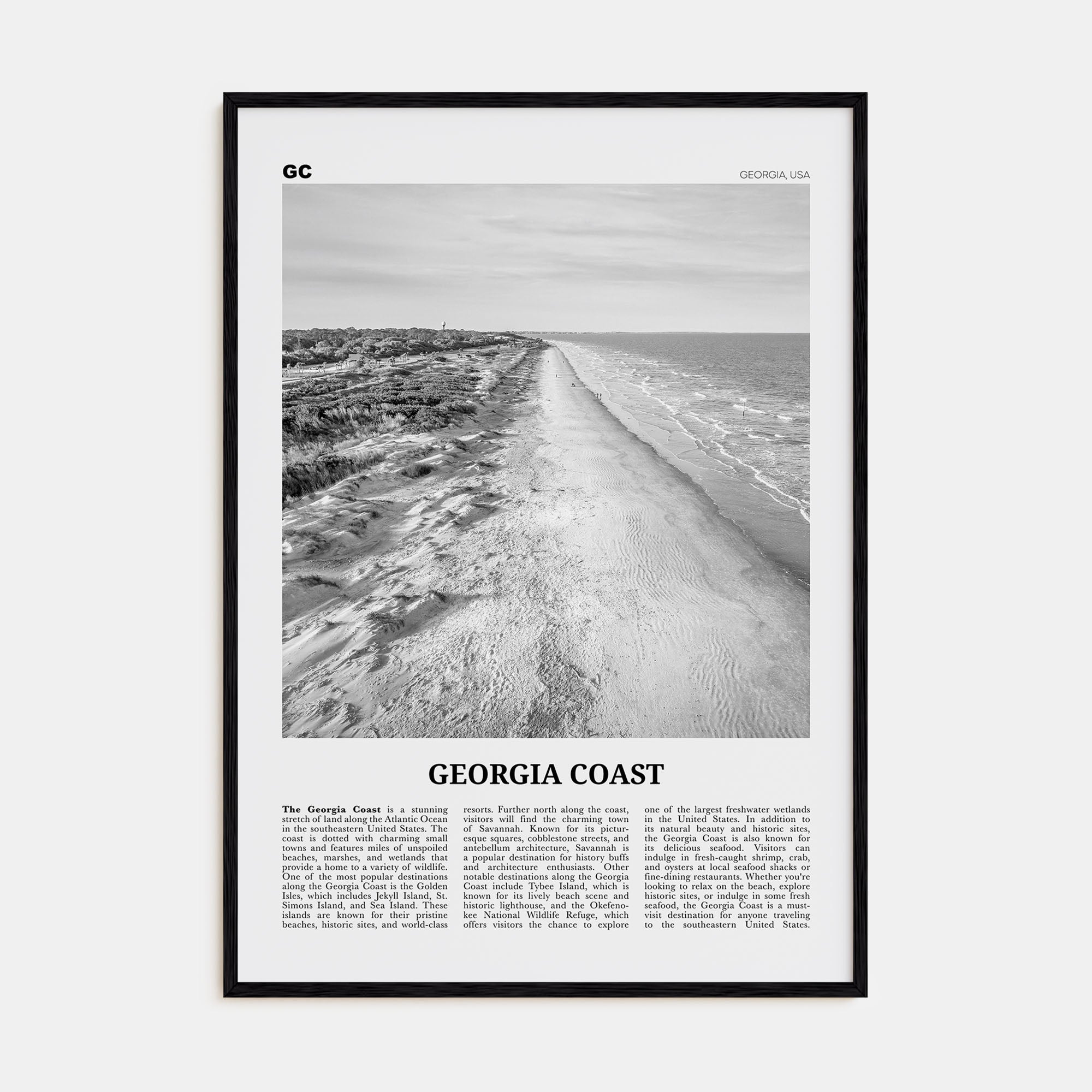 Georgia Coast Travel B&W Poster