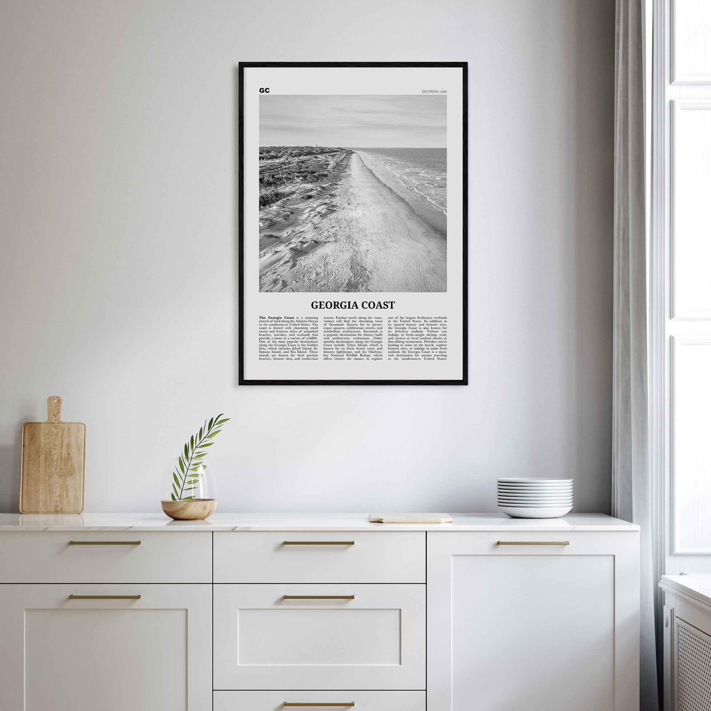 Georgia Coast Travel B&W Poster