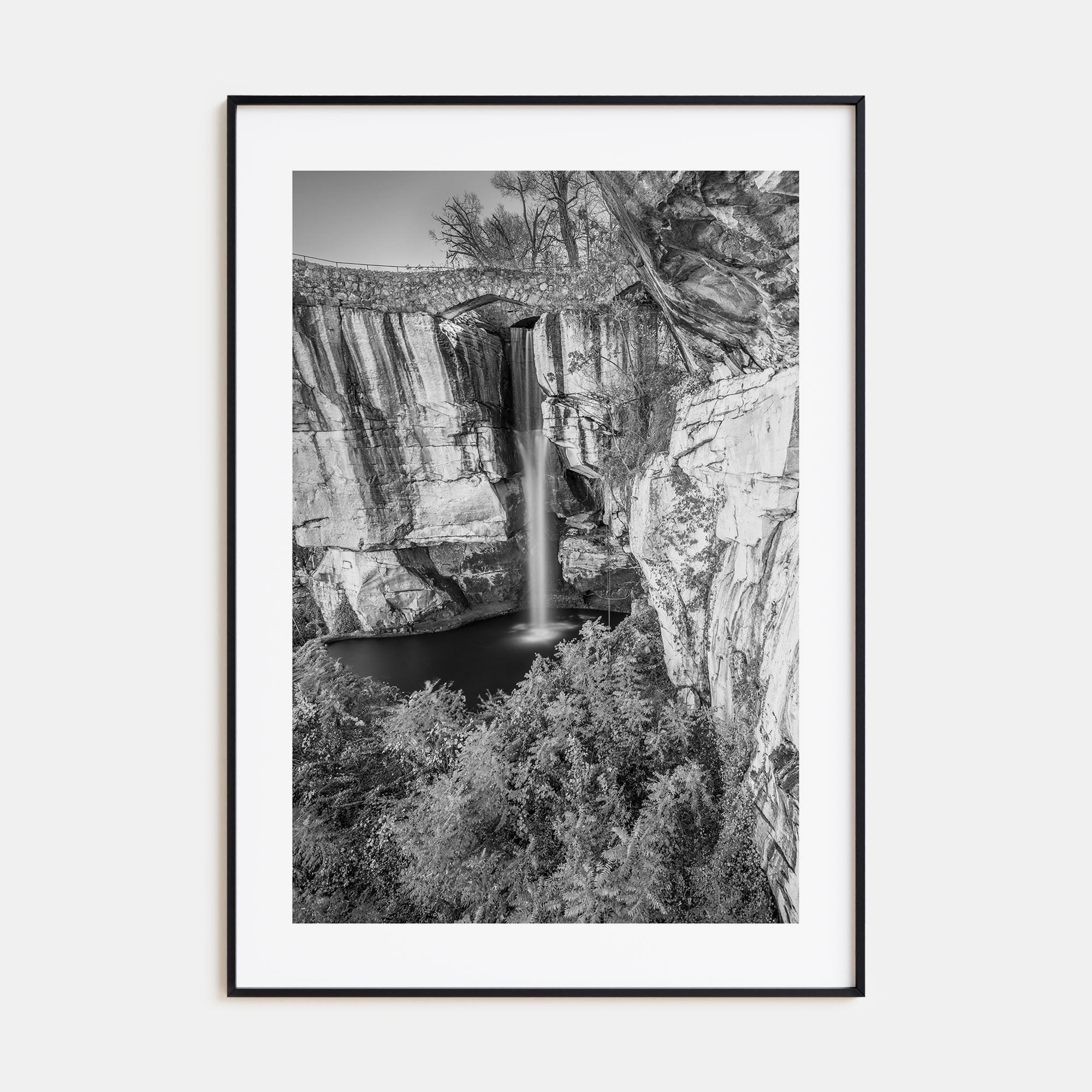 Georgia, United States Photo B&W Poster