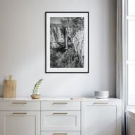 Georgia, United States Photo B&W Poster