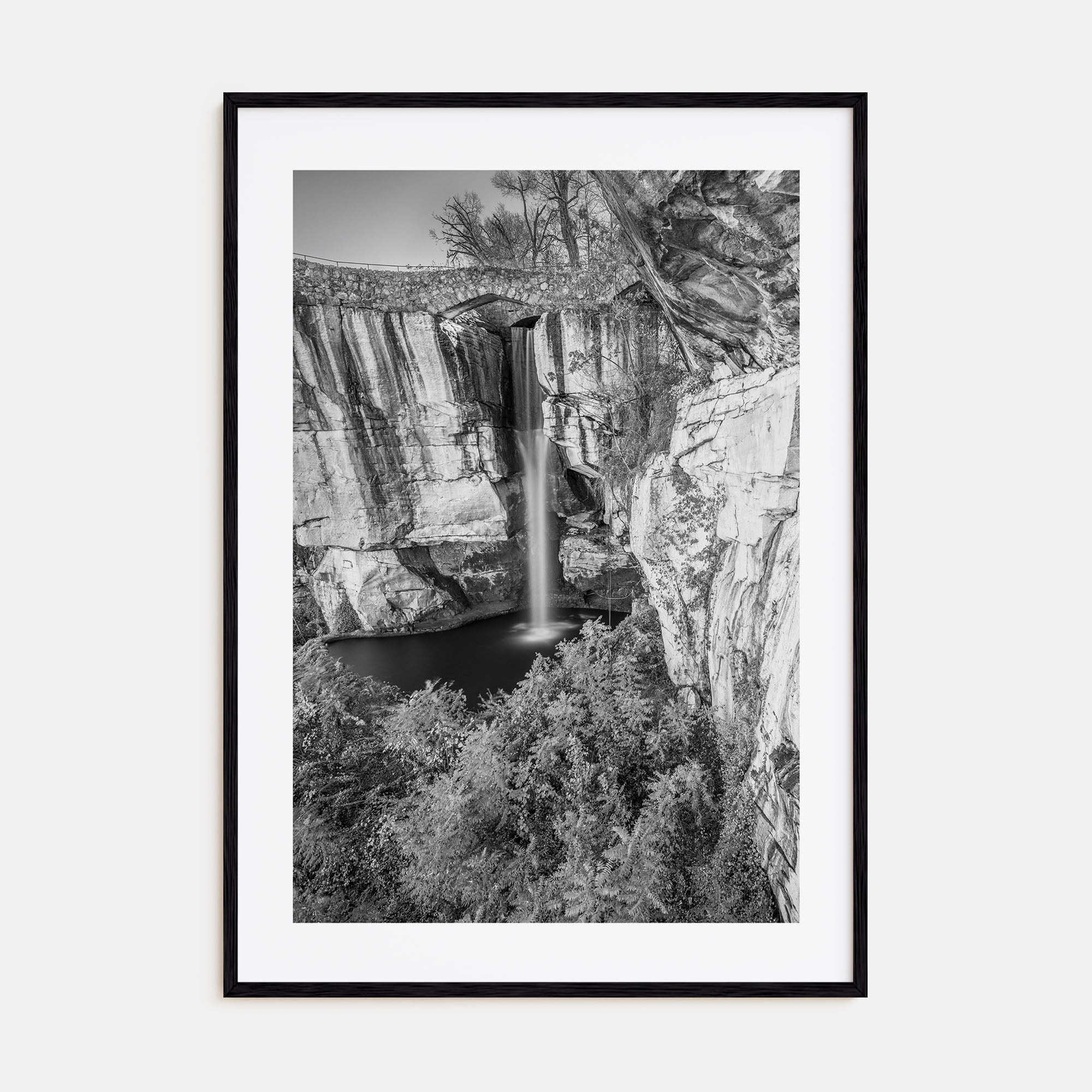 Georgia, United States Photo B&W Poster