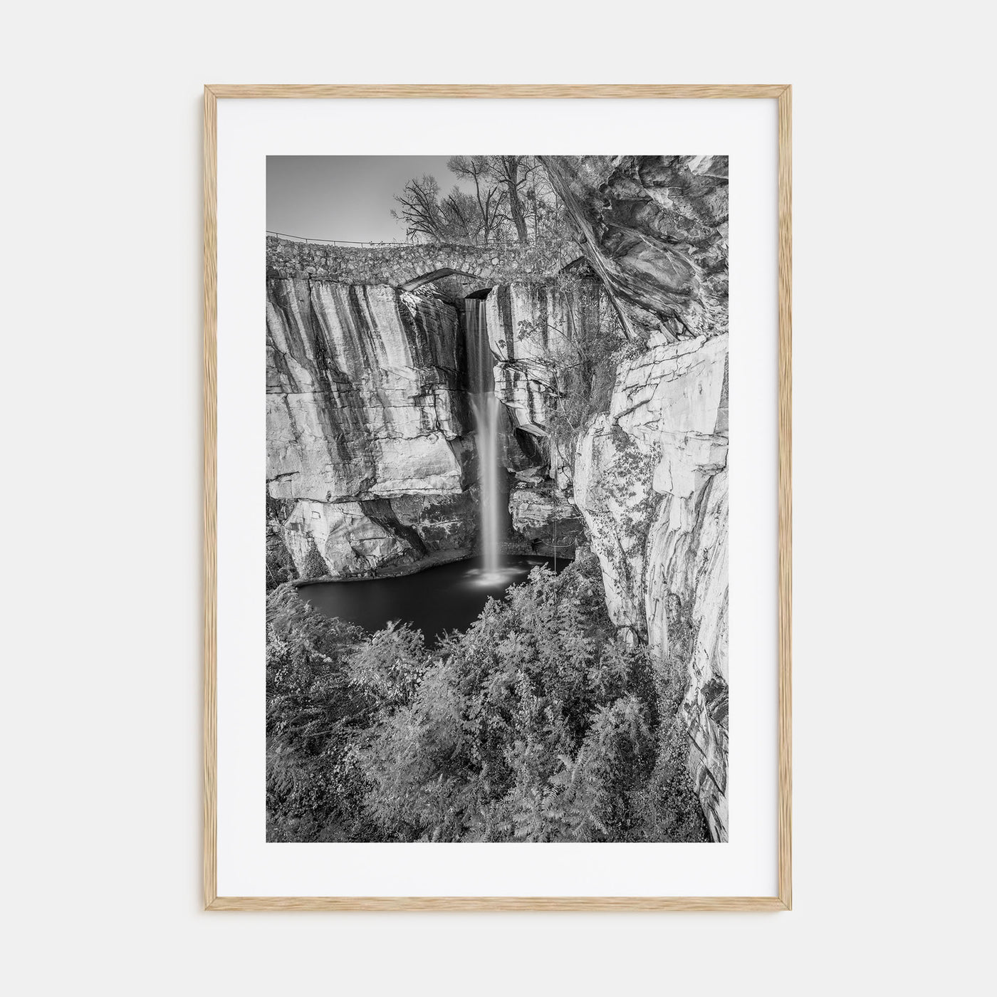 Georgia, United States Photo B&W Poster